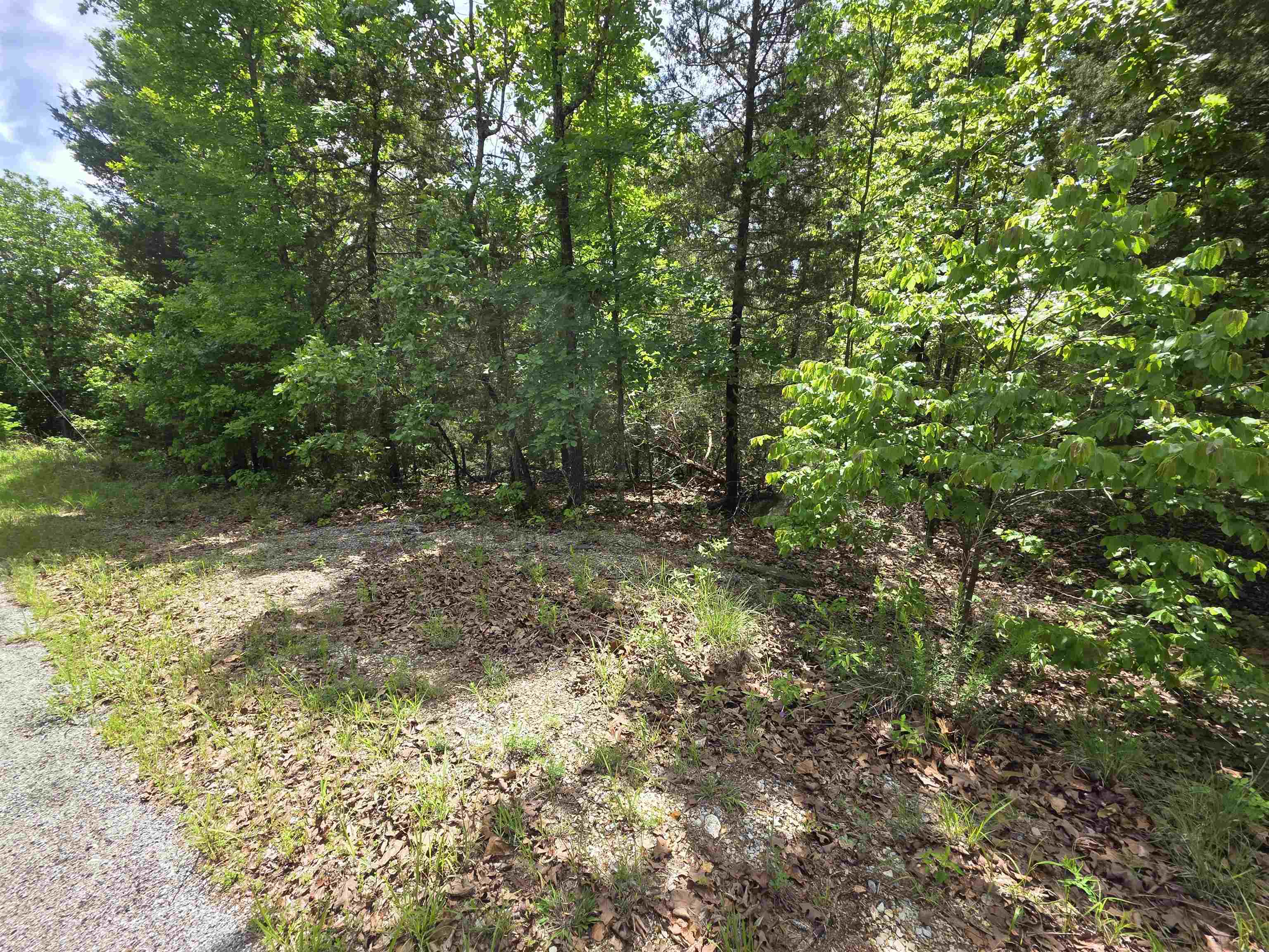 L-39, B-4 Topez  Cherokee Village, AR