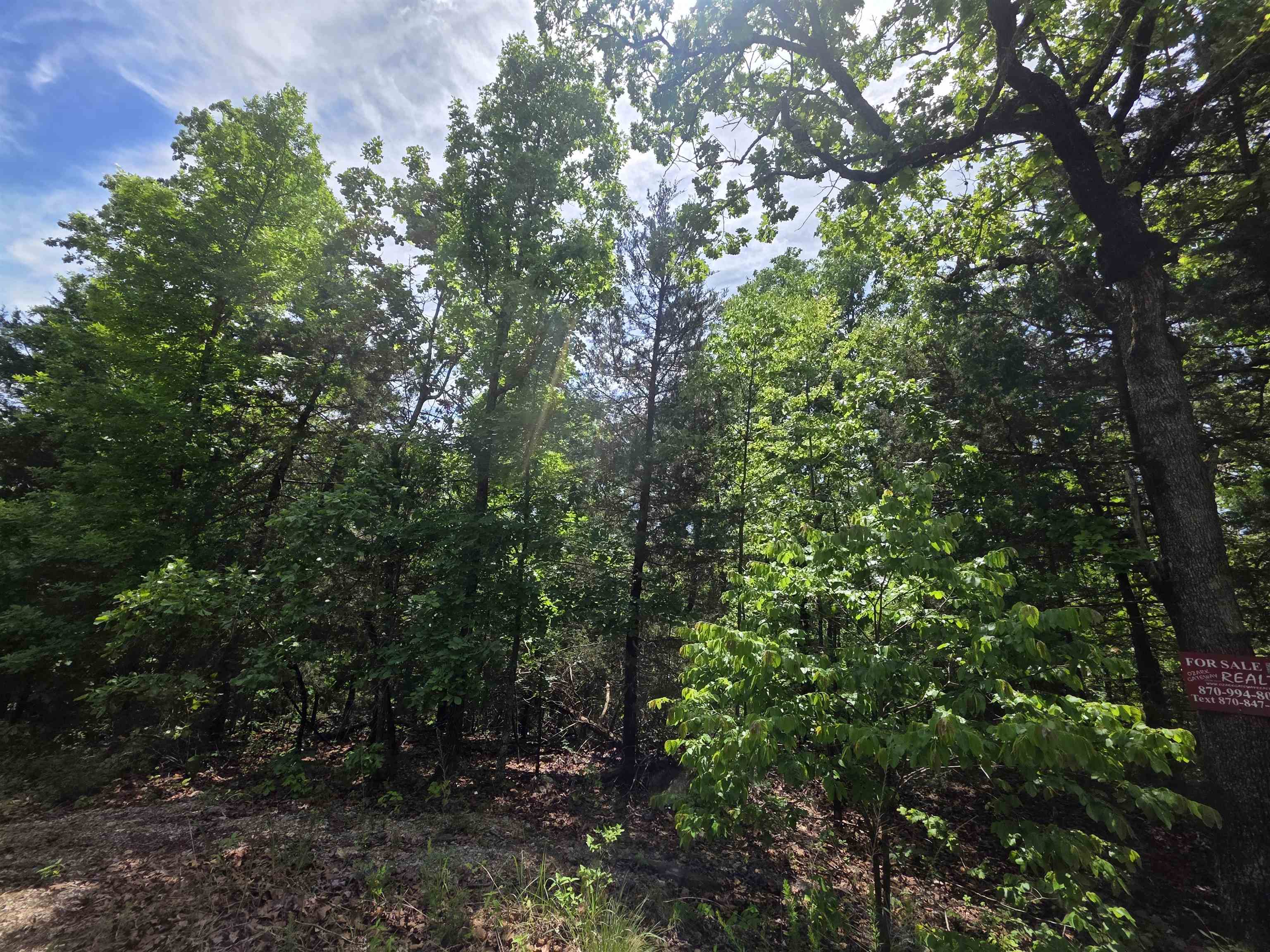 L-39, B-4 Topez  Cherokee Village, AR