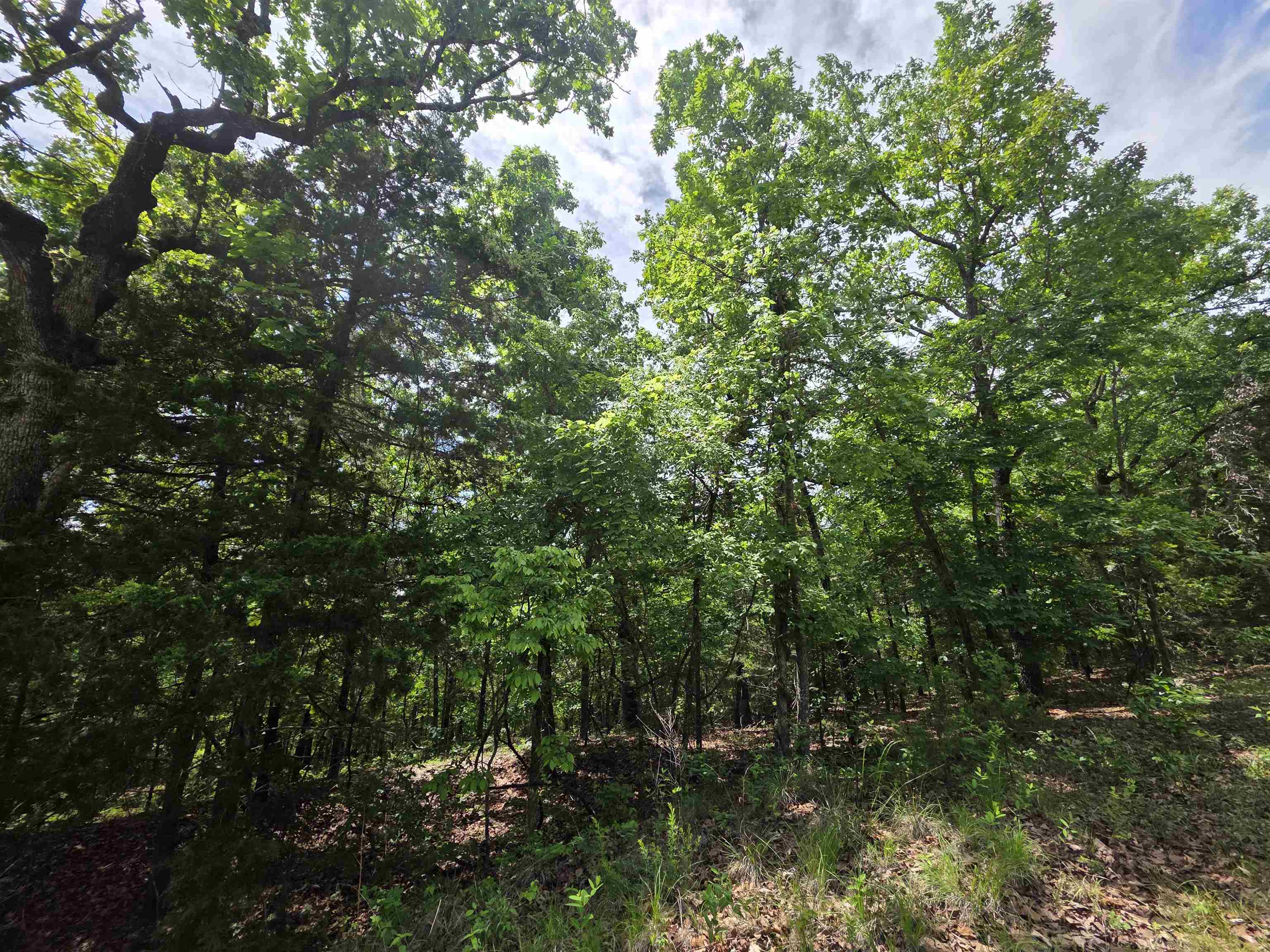 L-39, B-4 Topez  Cherokee Village, AR