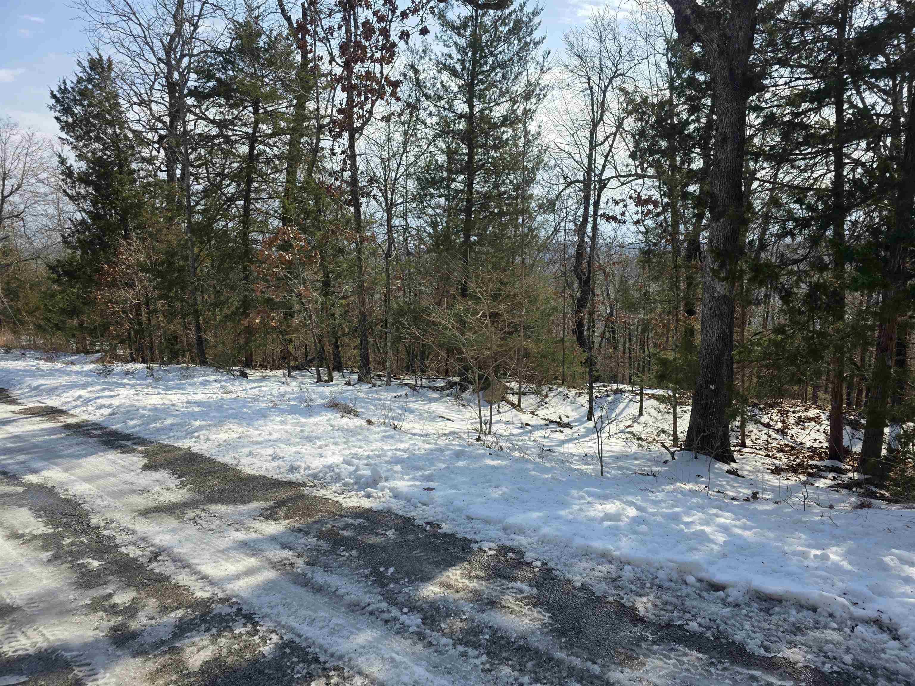 L-39, B-4 Topez  Cherokee Village, AR