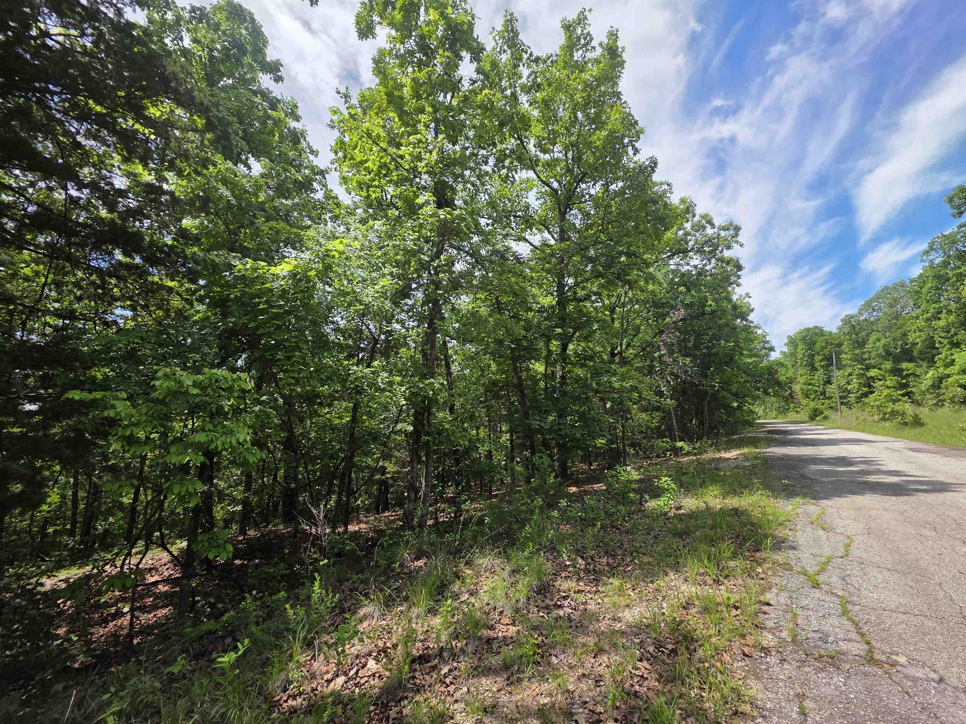L-39, B-4 Topez  Cherokee Village, AR