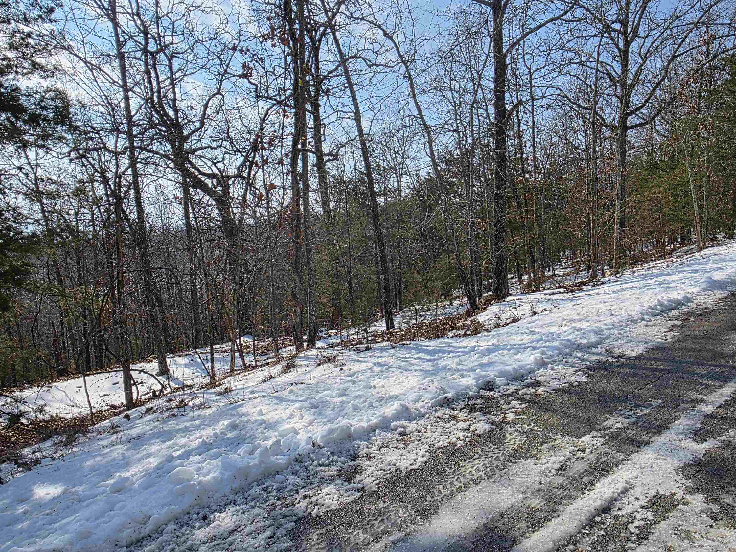 L-39, B-4 Topez  Cherokee Village, AR