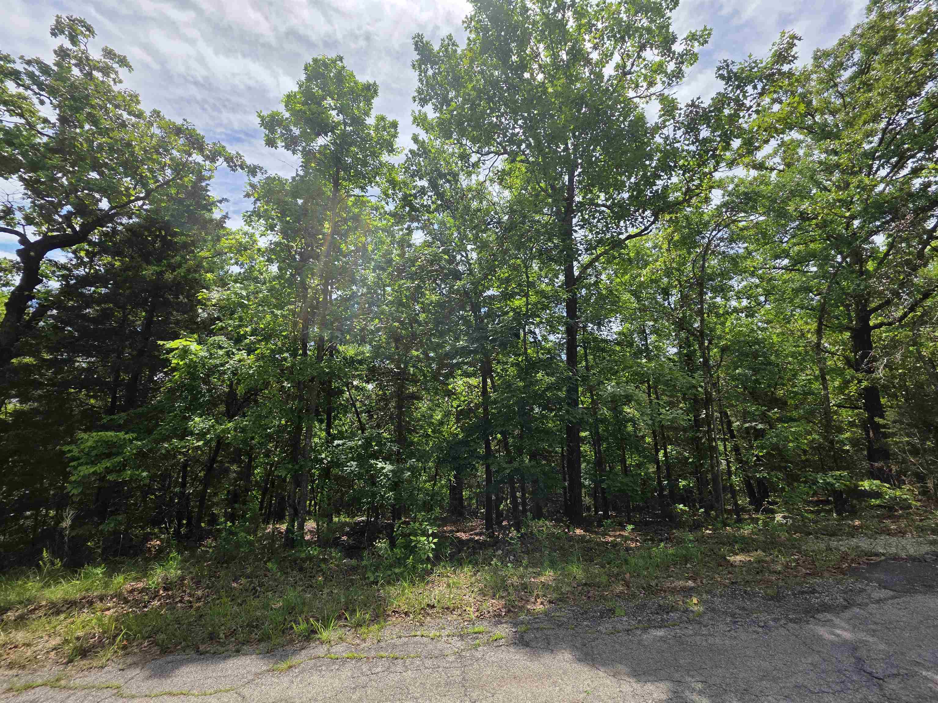 L-39, B-4 Topez  Cherokee Village, AR