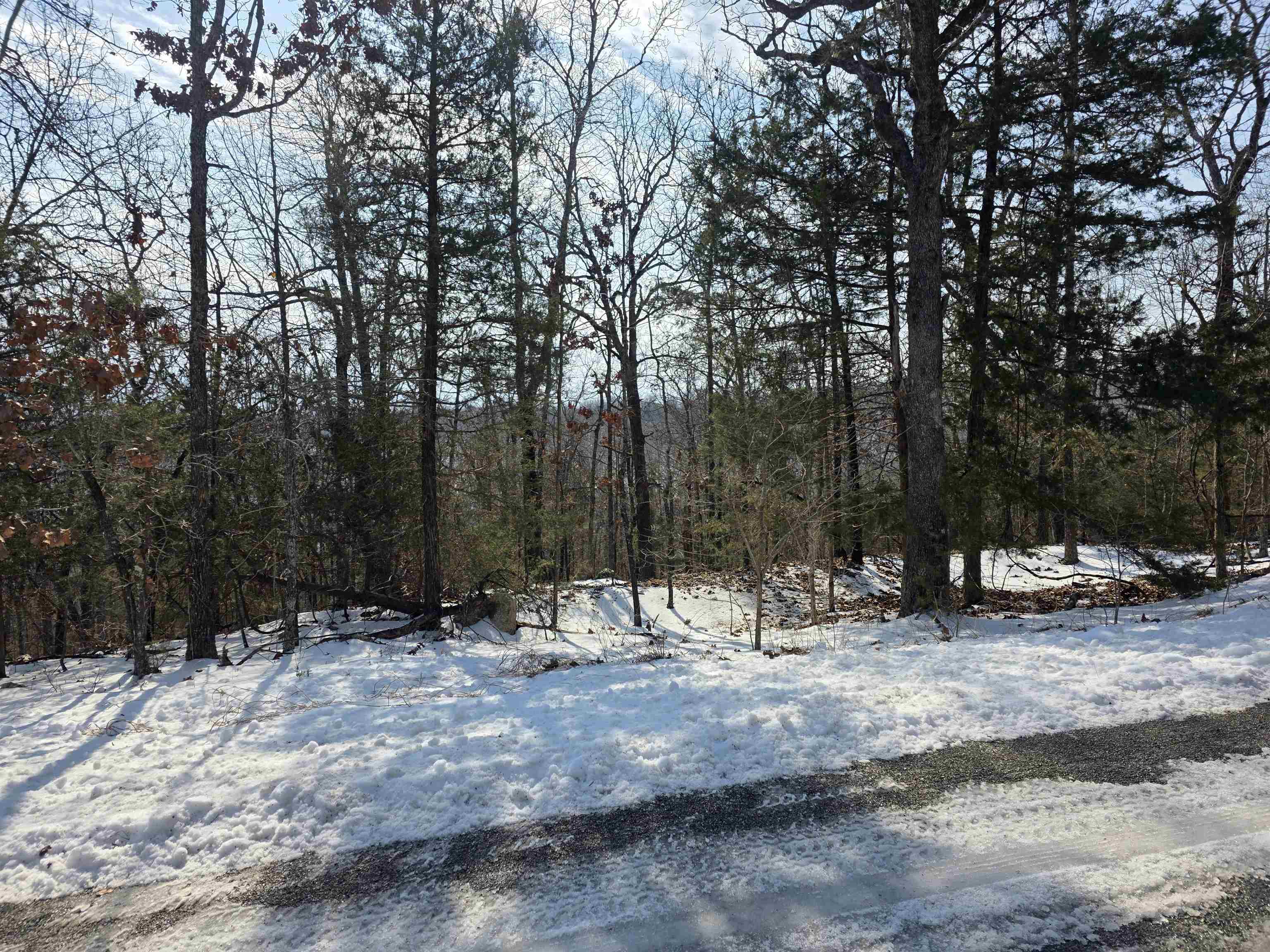 L-39, B-4 Topez  Cherokee Village, AR