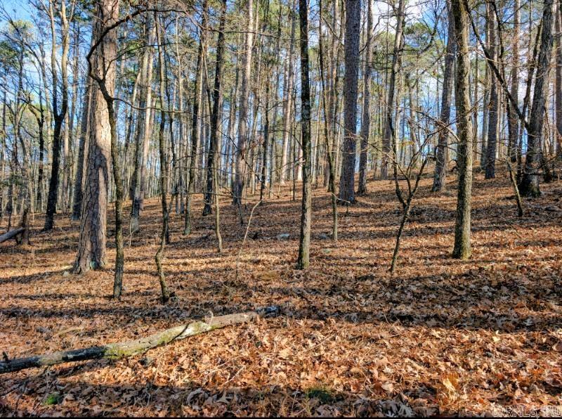 TBD Astorga  Hot Springs Village, AR