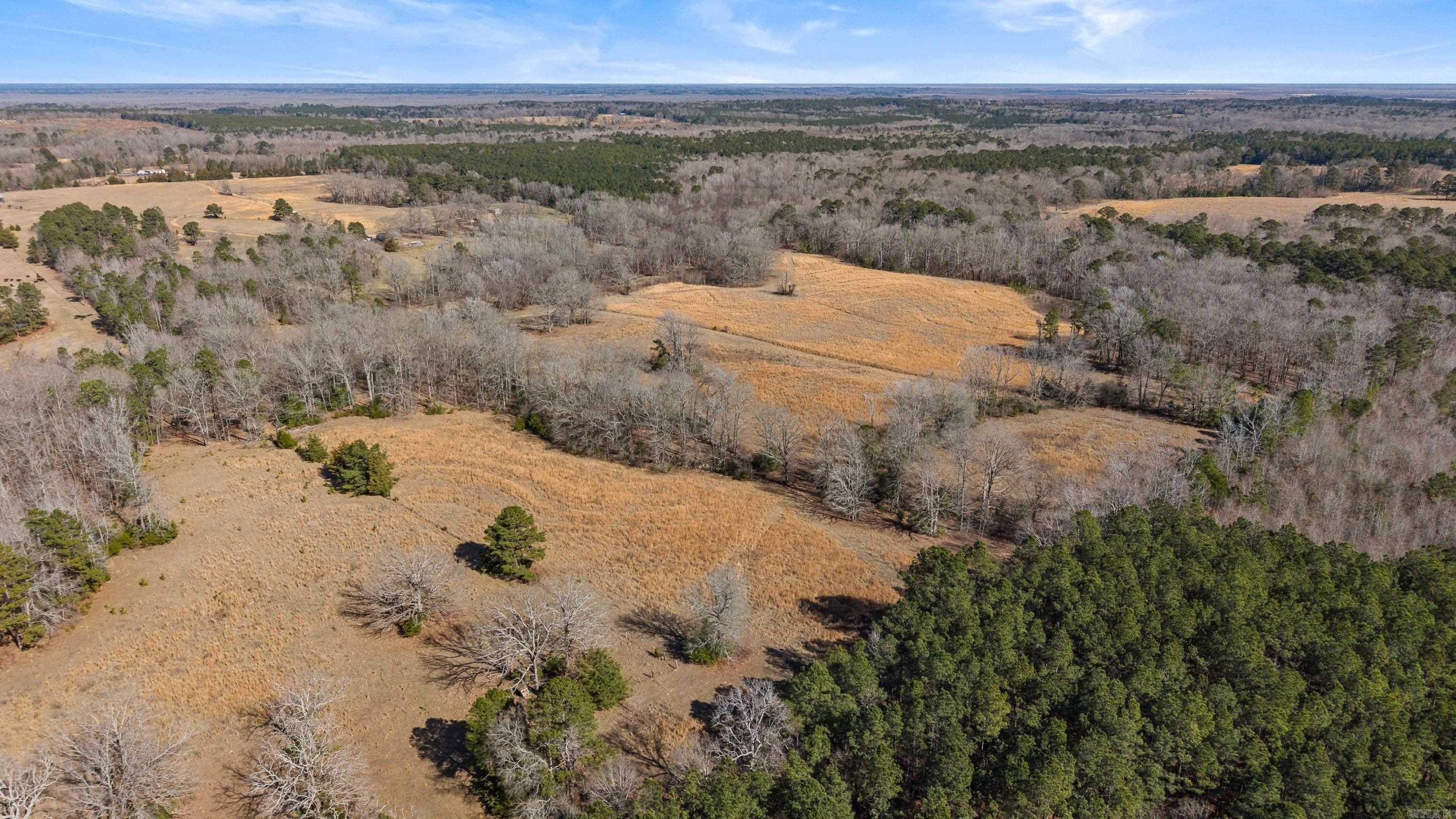 3698 Miller County 6  Doddridge, AR