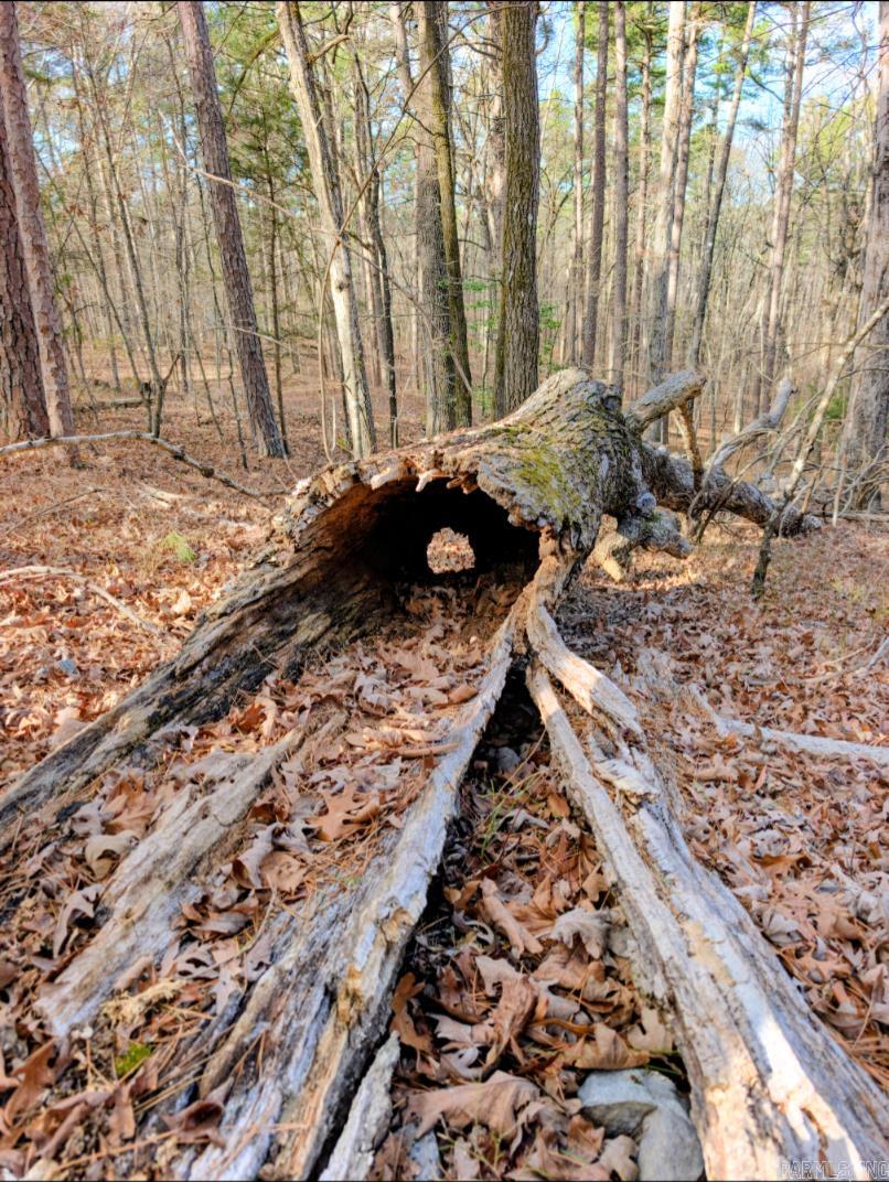 TBD Nova  Hot Springs Village, AR