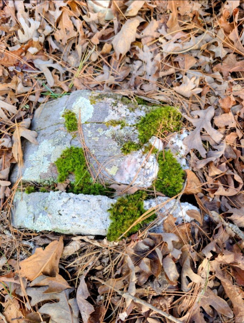 TBD Nova  Hot Springs Village, AR