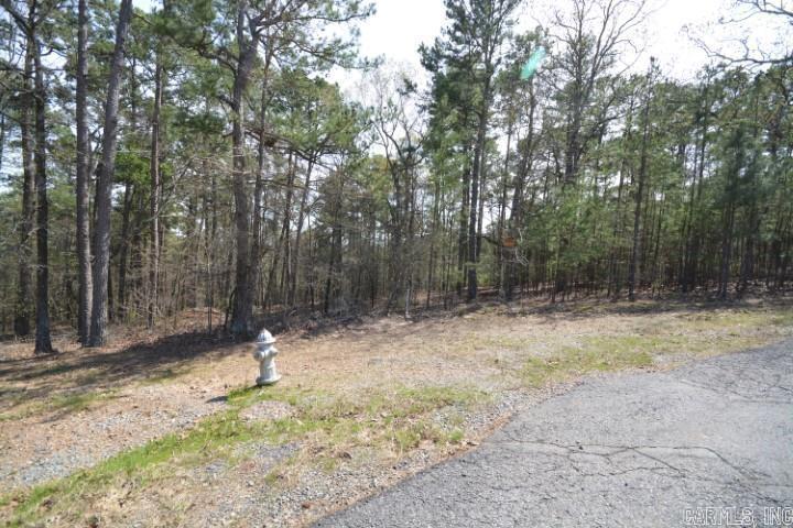 23420 Mills Mountain  Little Rock, AR