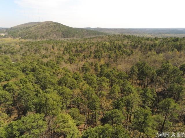 23420 Mills Mountain  Little Rock, AR