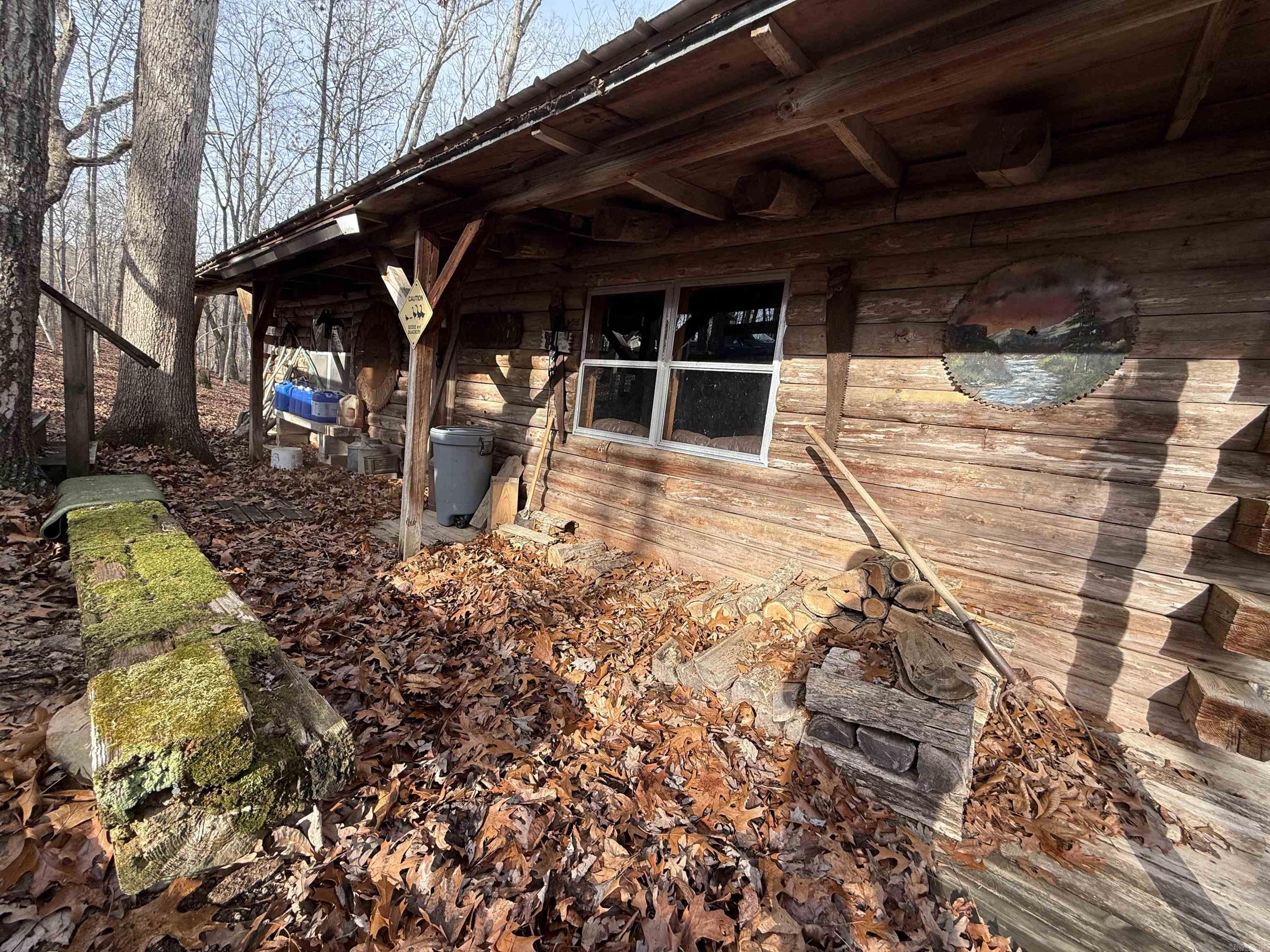 000 Private Road 422-17  Birch Tree, MO