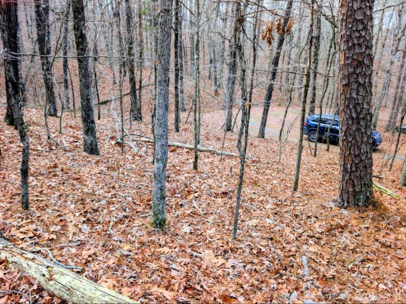 TBD Ayora  Hot Springs Village, AR