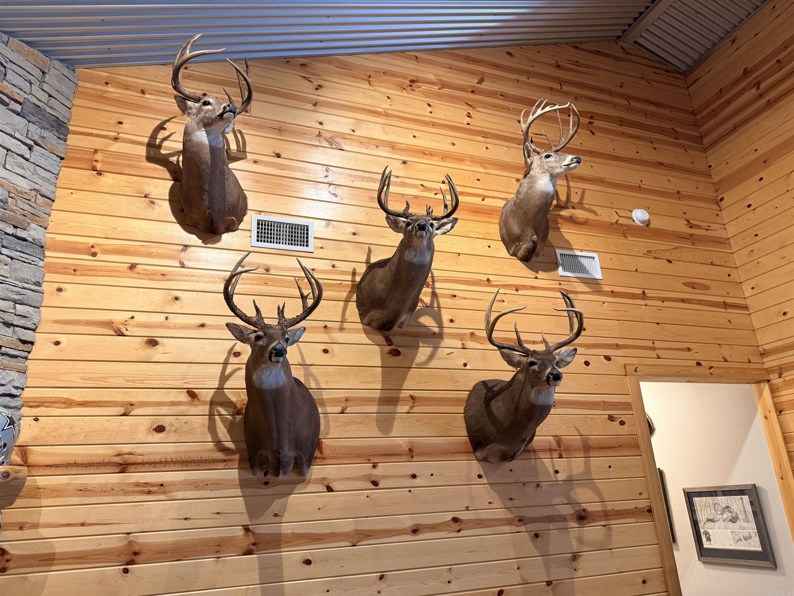 1309 Jones Island  Georgetown, AR