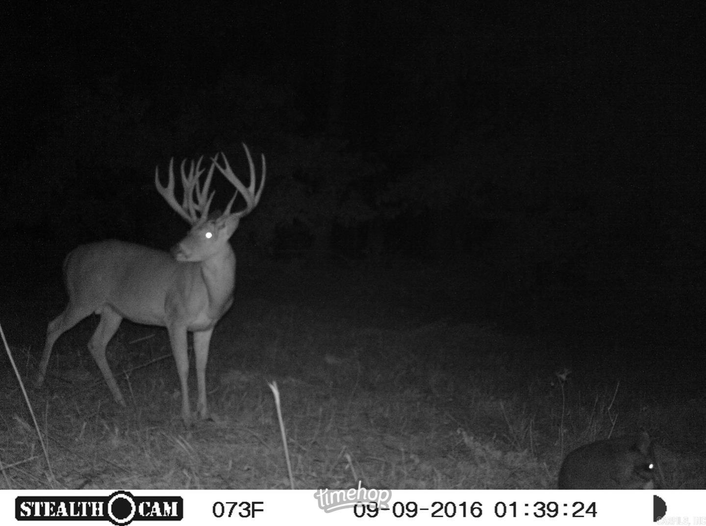 1307 Jones Island  Georgetown, AR