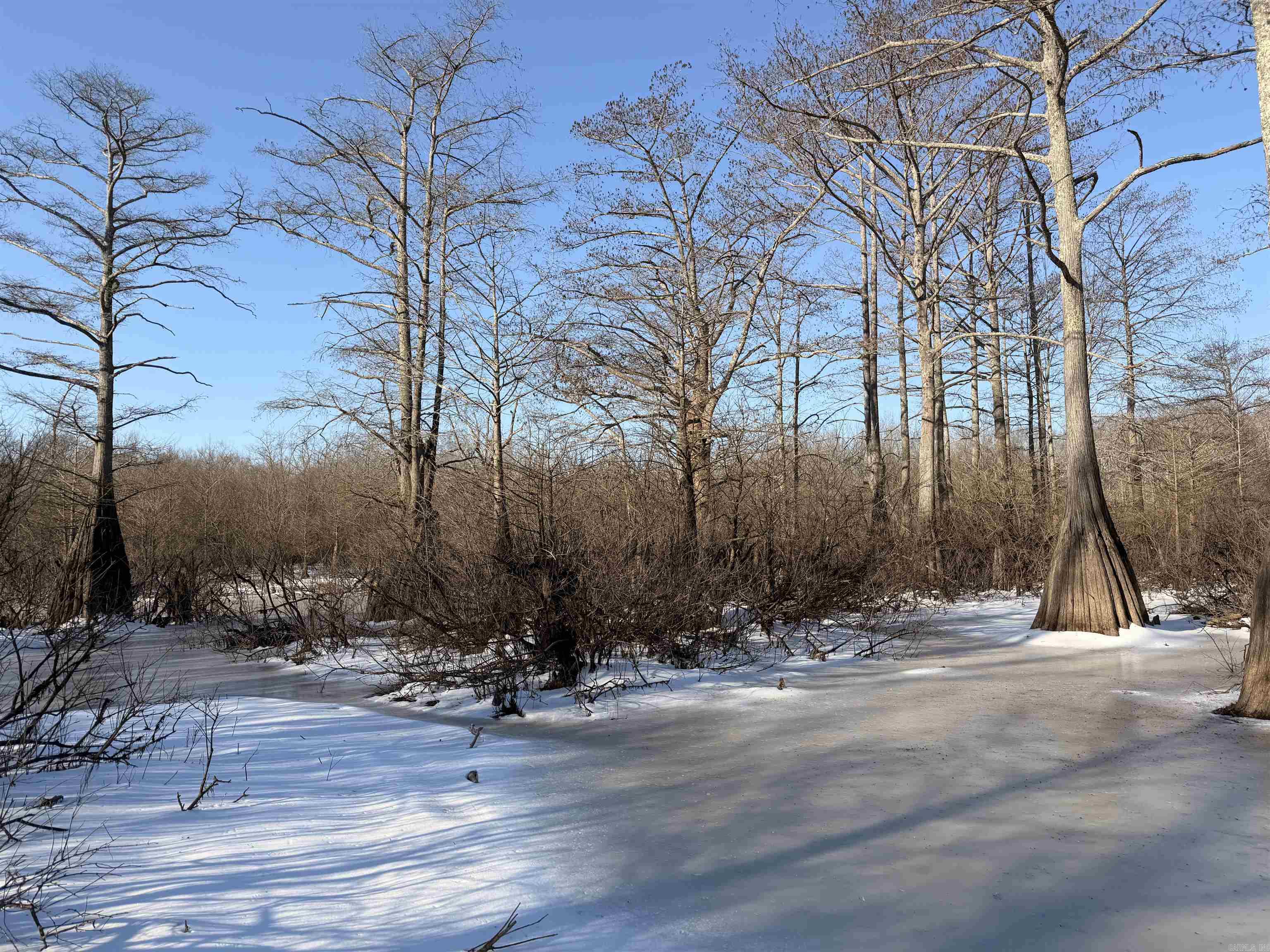 1307 Jones Island  Georgetown, AR