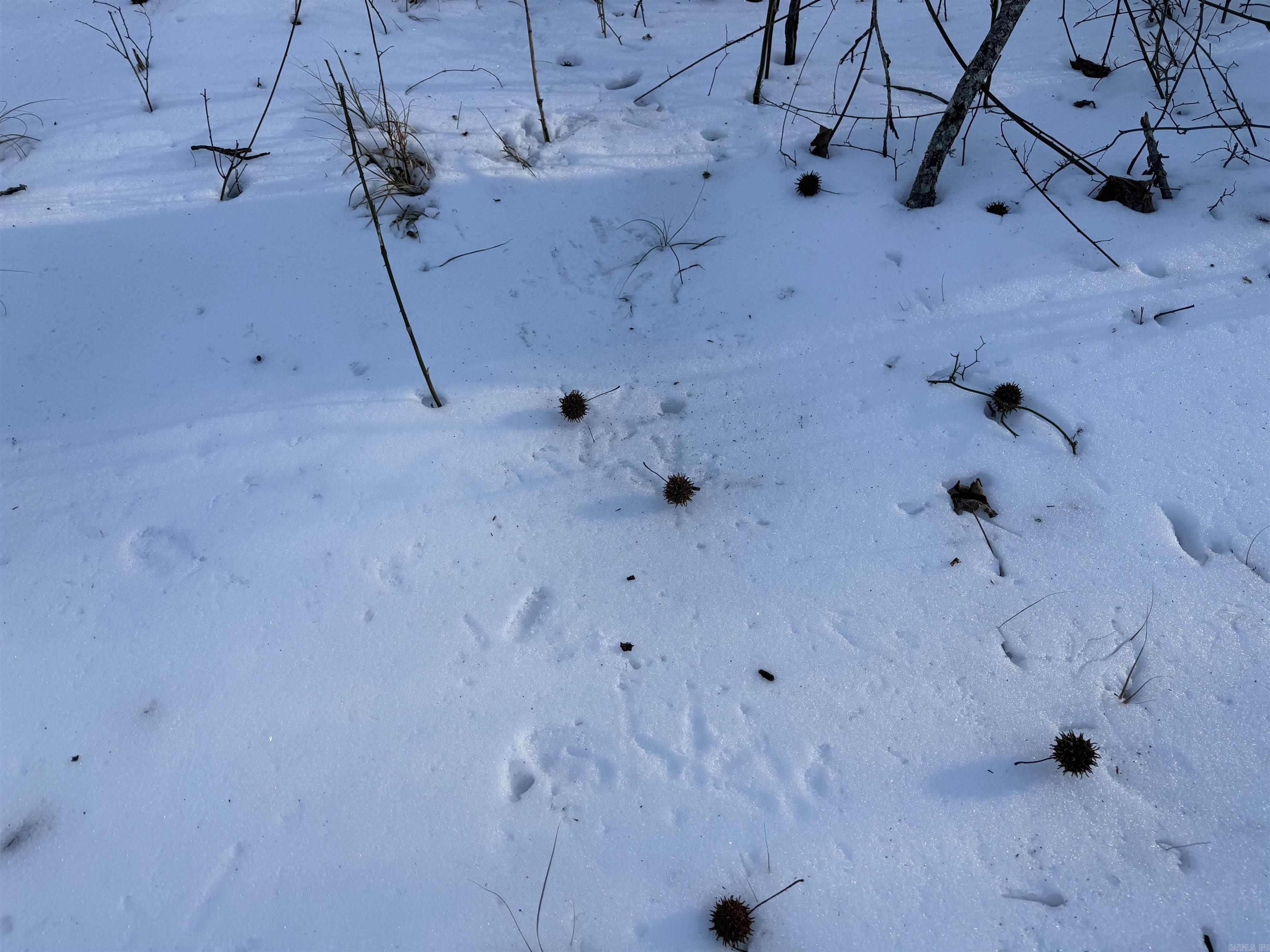 1307 Jones Island  Georgetown, AR