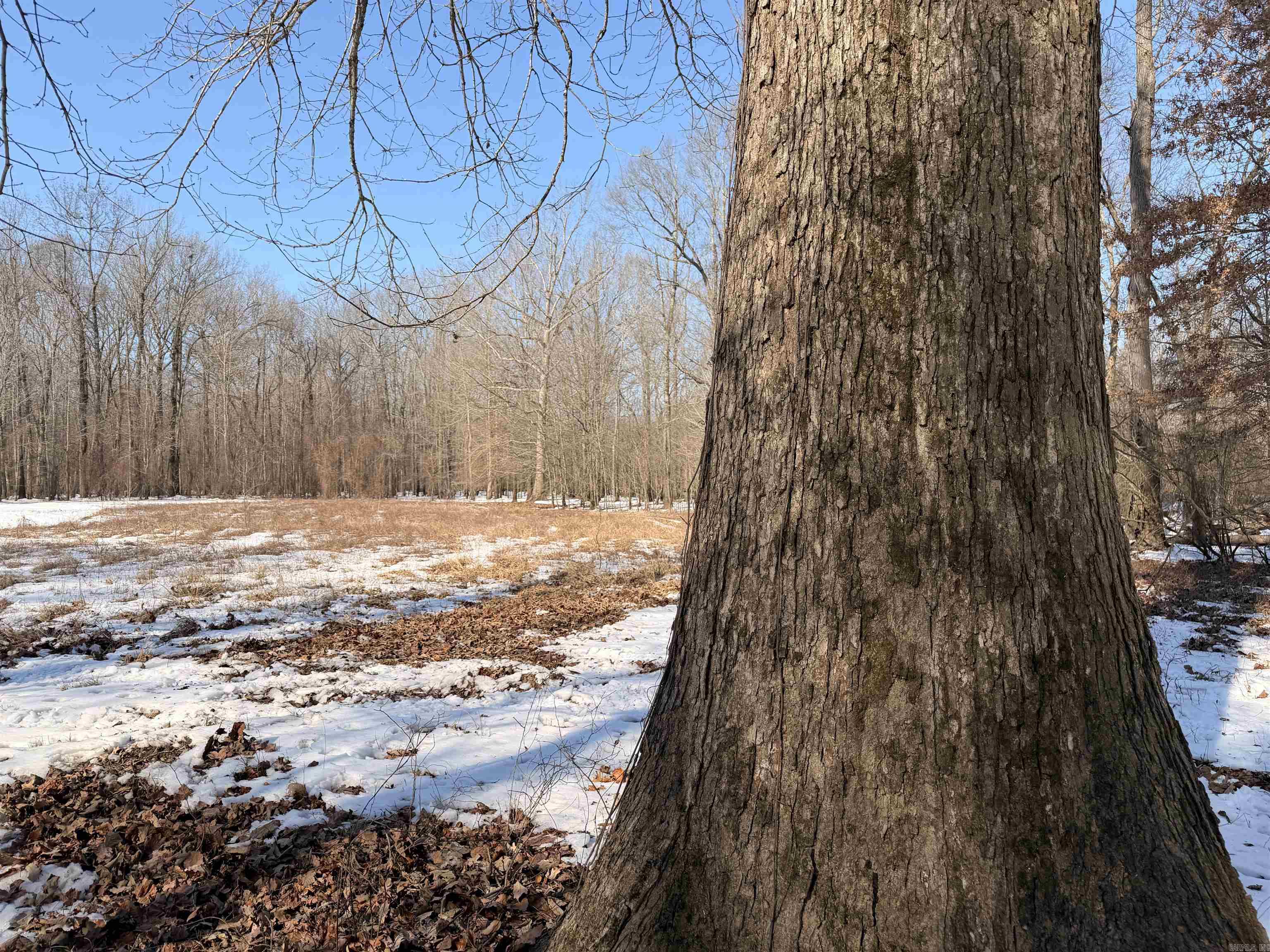 1307 Jones Island  Georgetown, AR