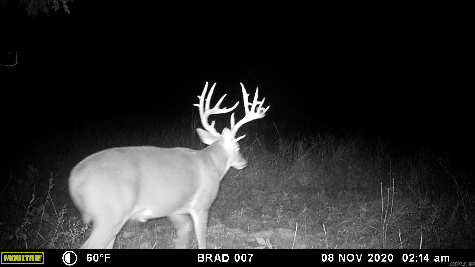 1307 Jones Island  Georgetown, AR