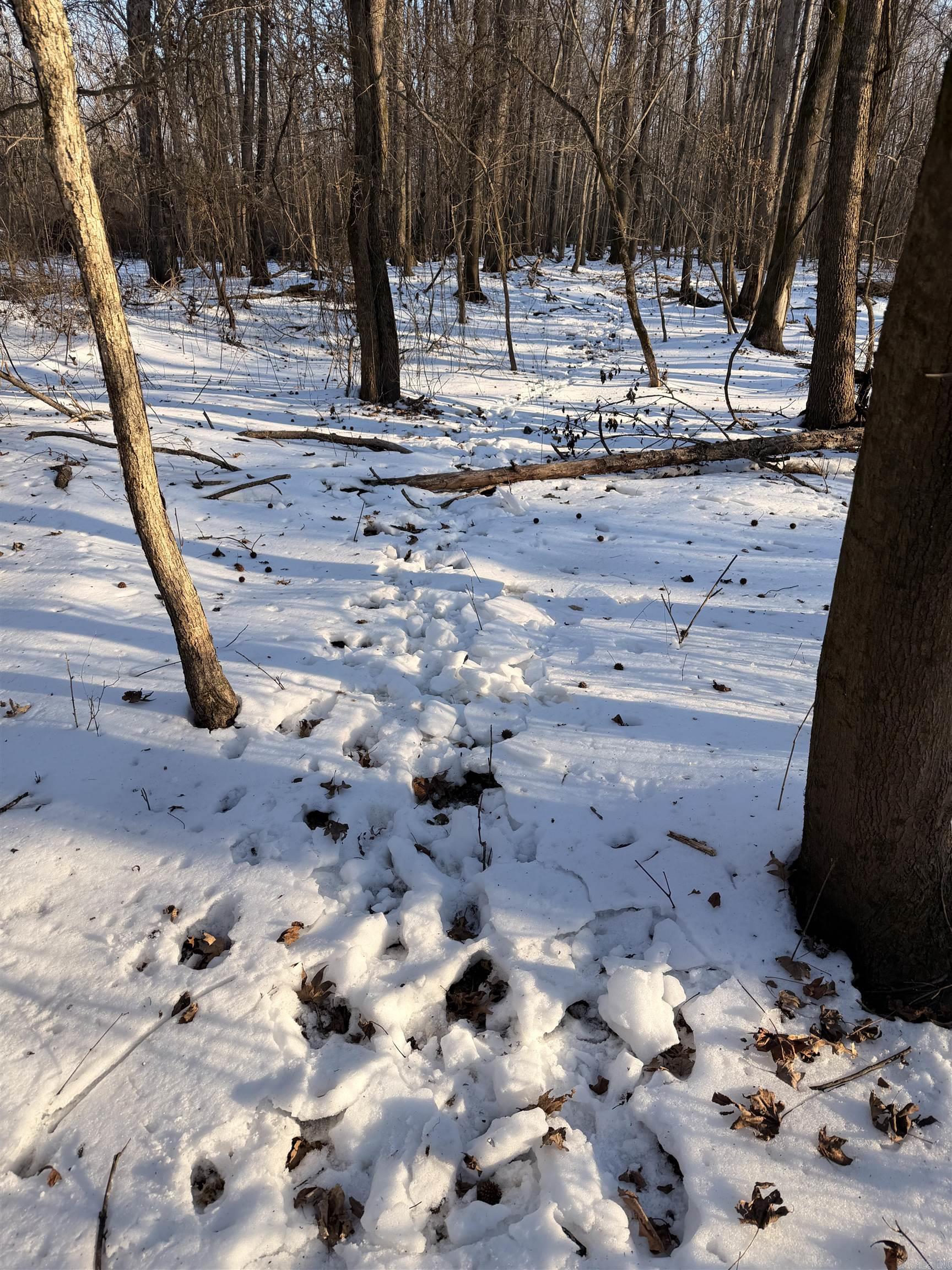 00 Cain  Griffithville, AR