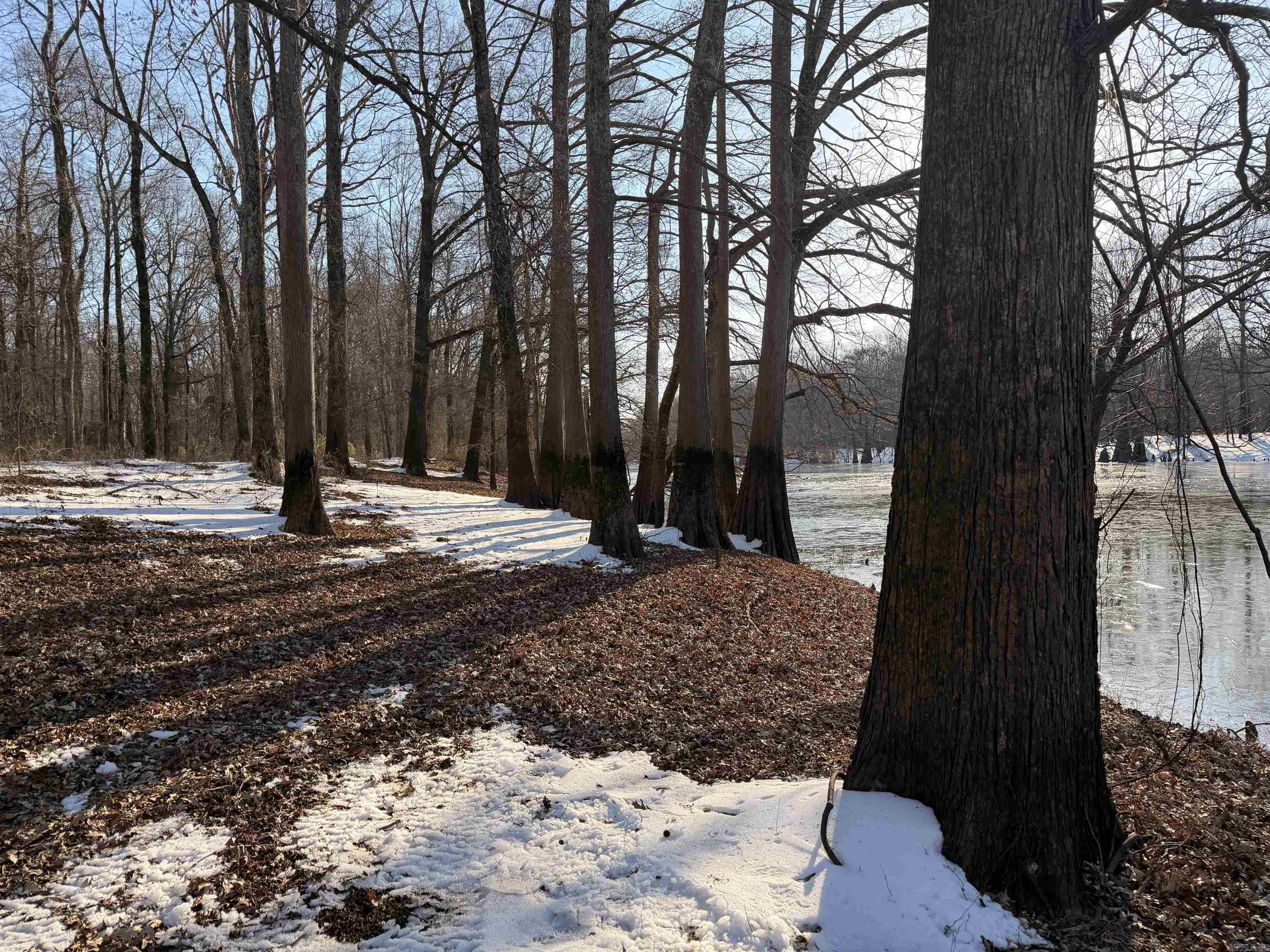 00 Cain  Griffithville, AR