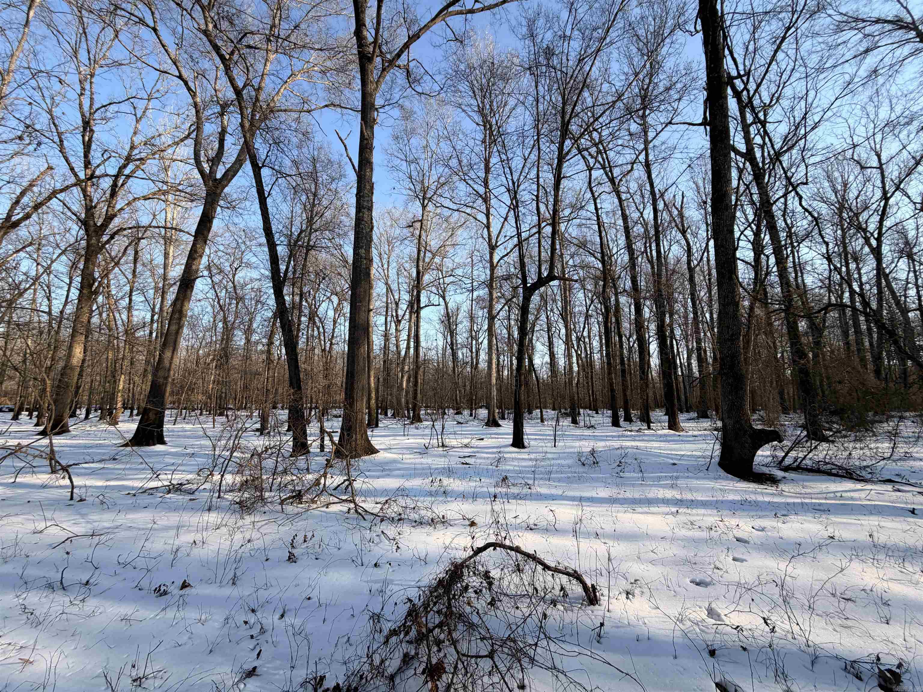 00 Cain  Griffithville, AR