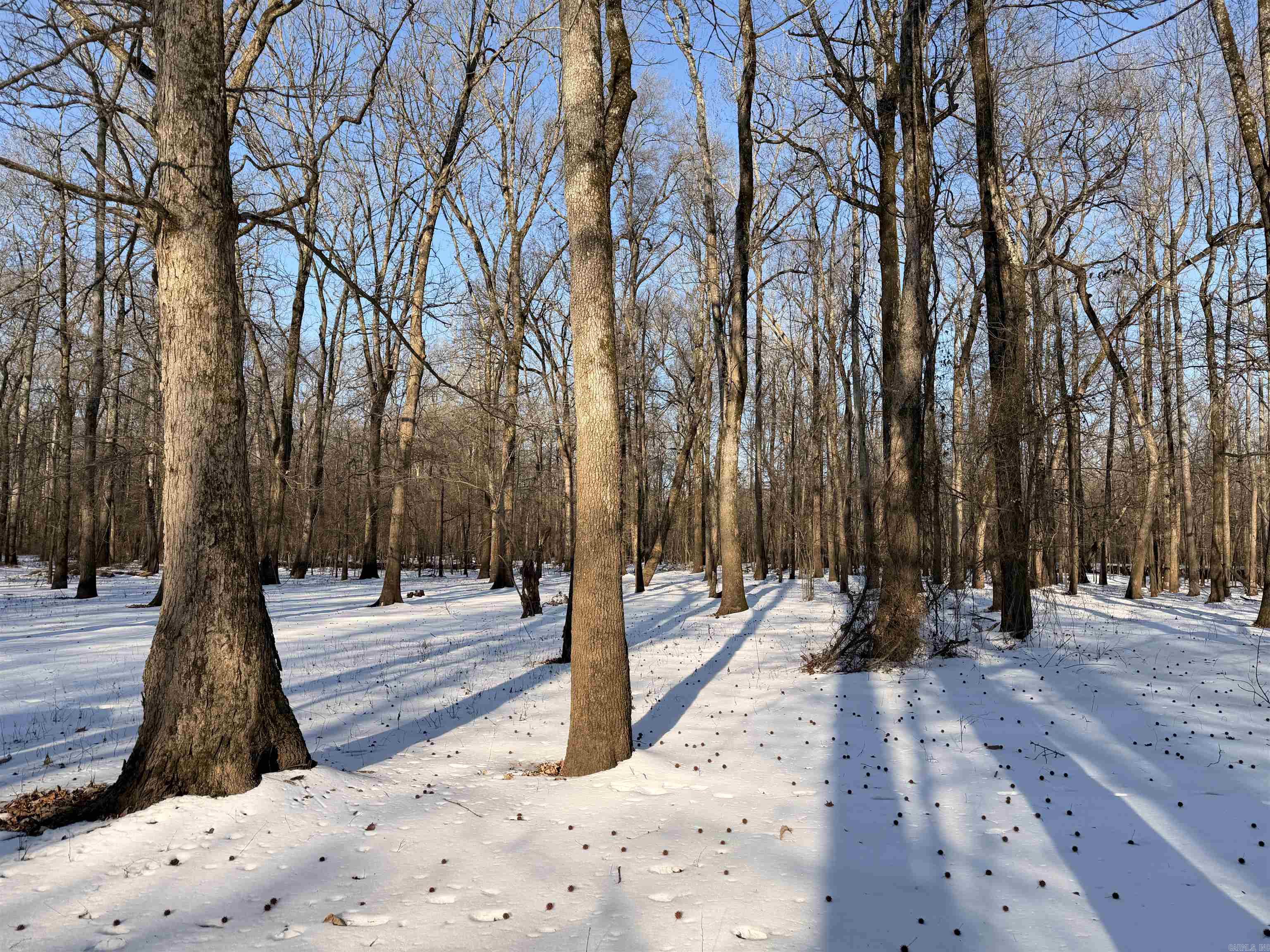 00 Cain  Griffithville, AR