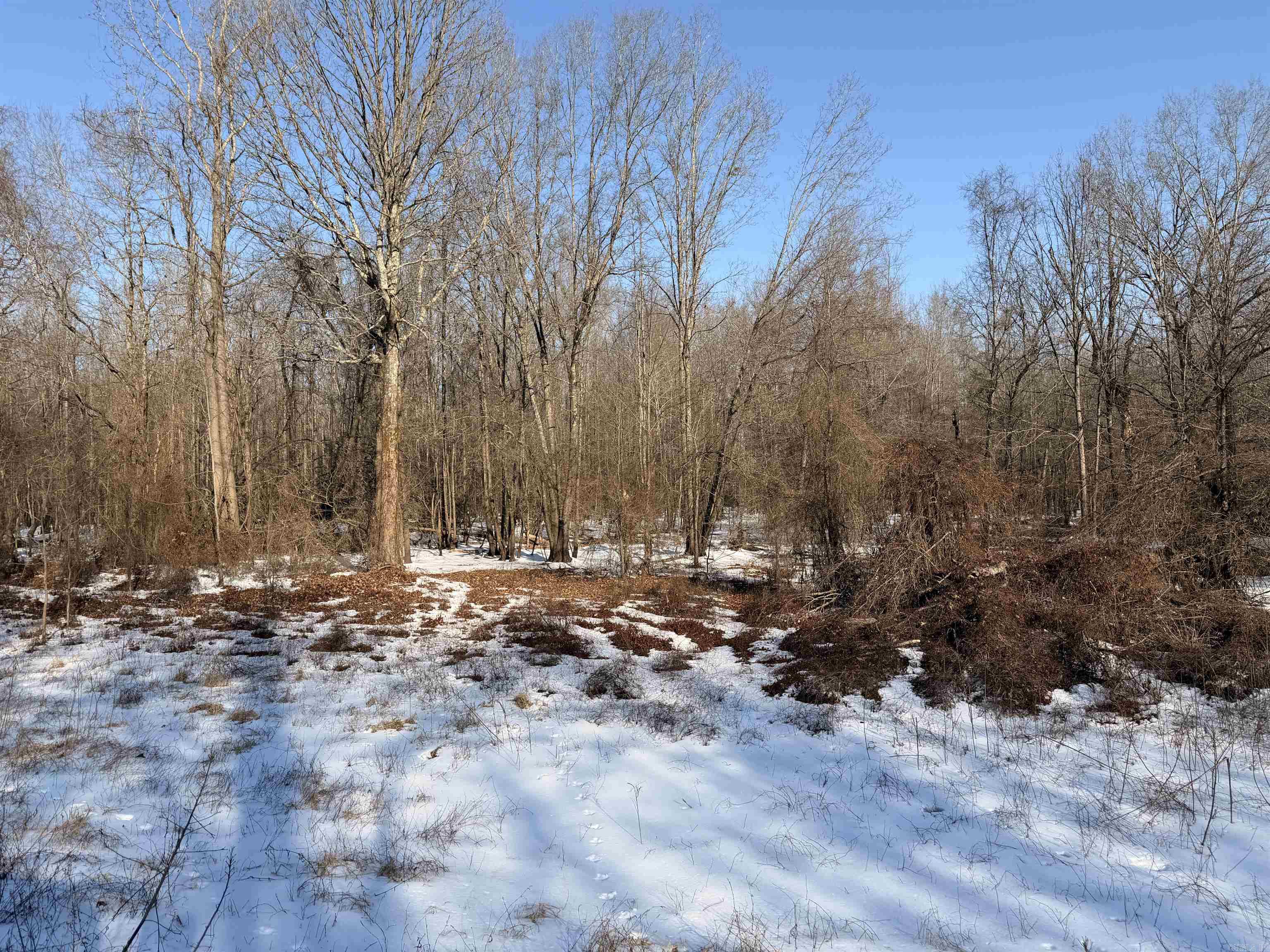 00 Cain  Griffithville, AR