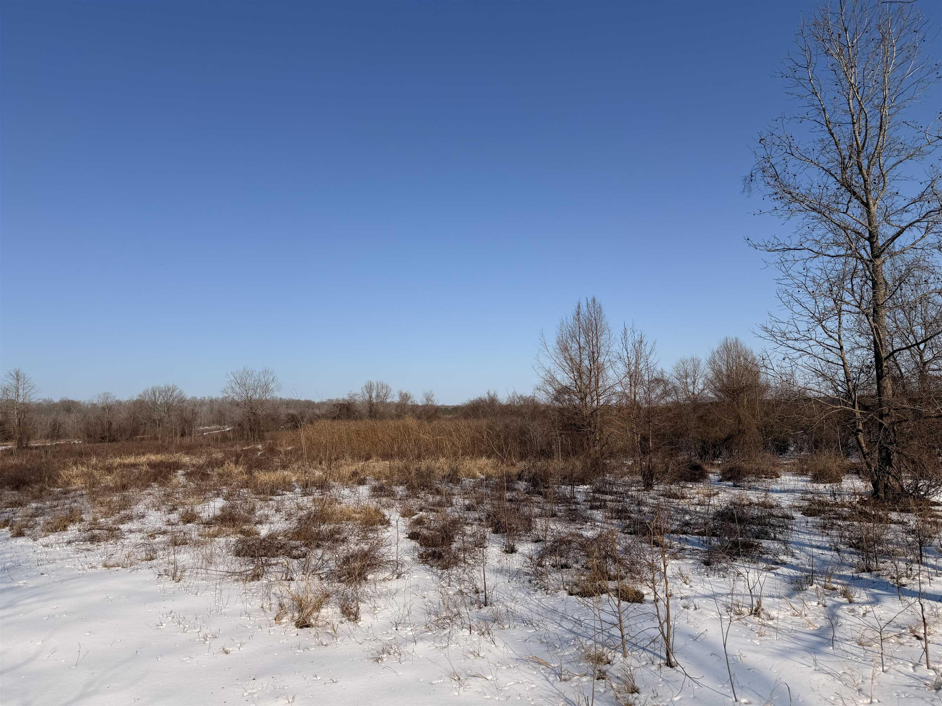 00 Cain  Griffithville, AR