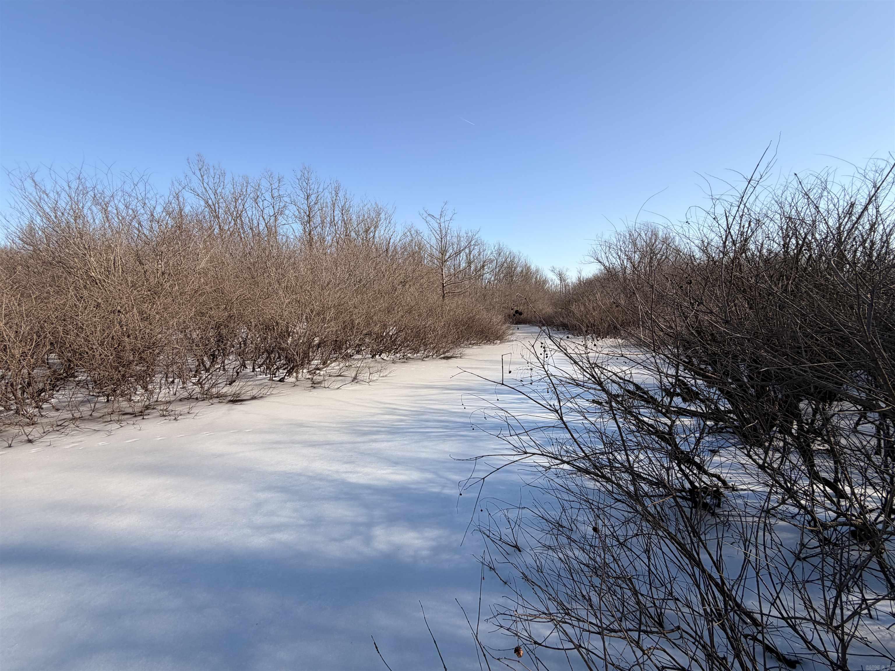 00 Cain  Griffithville, AR