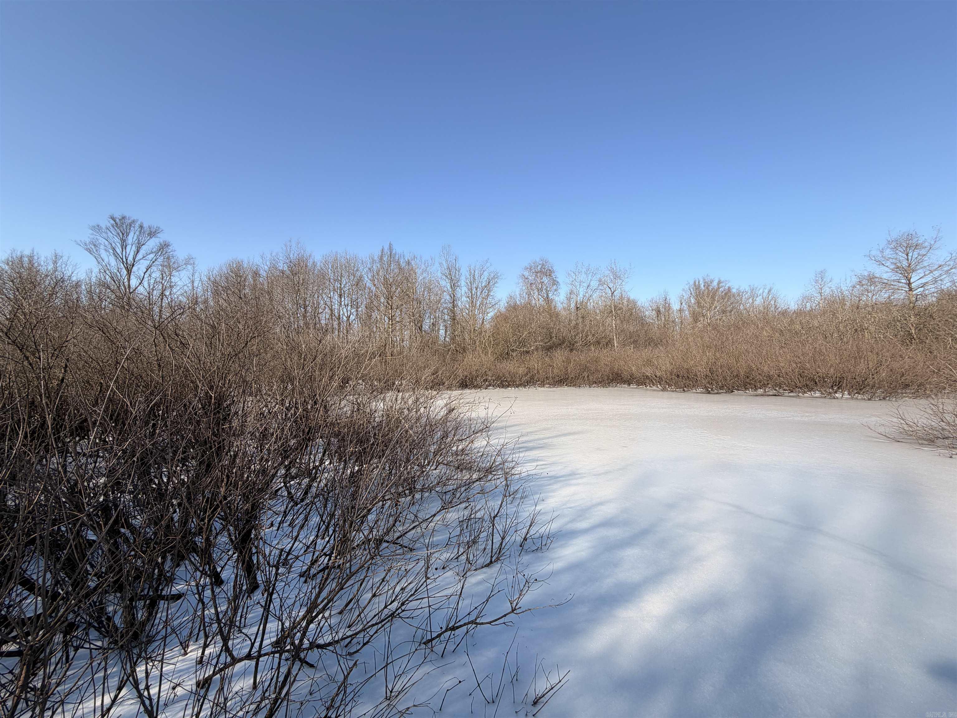 00 Cain  Griffithville, AR