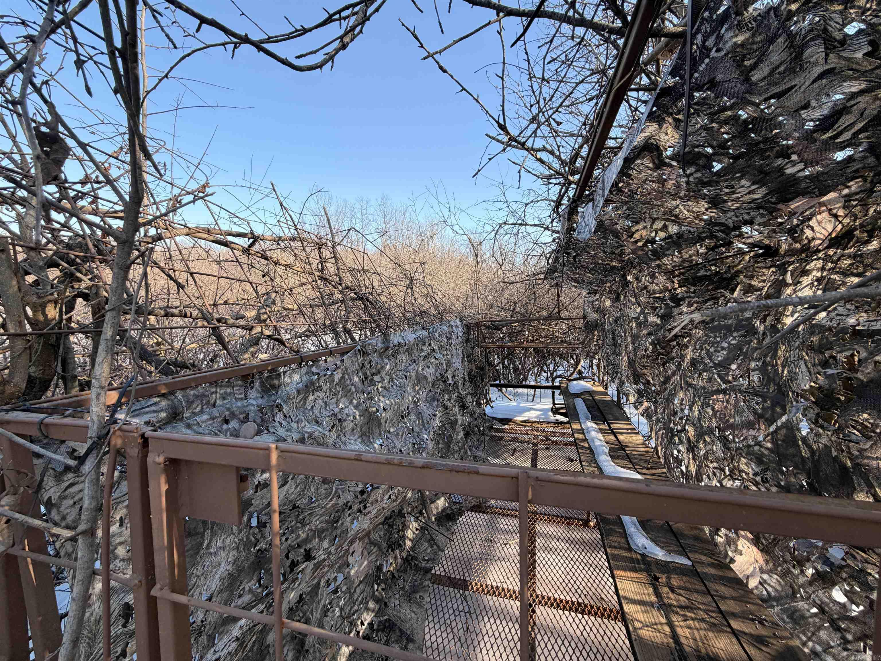 00 Cain  Griffithville, AR