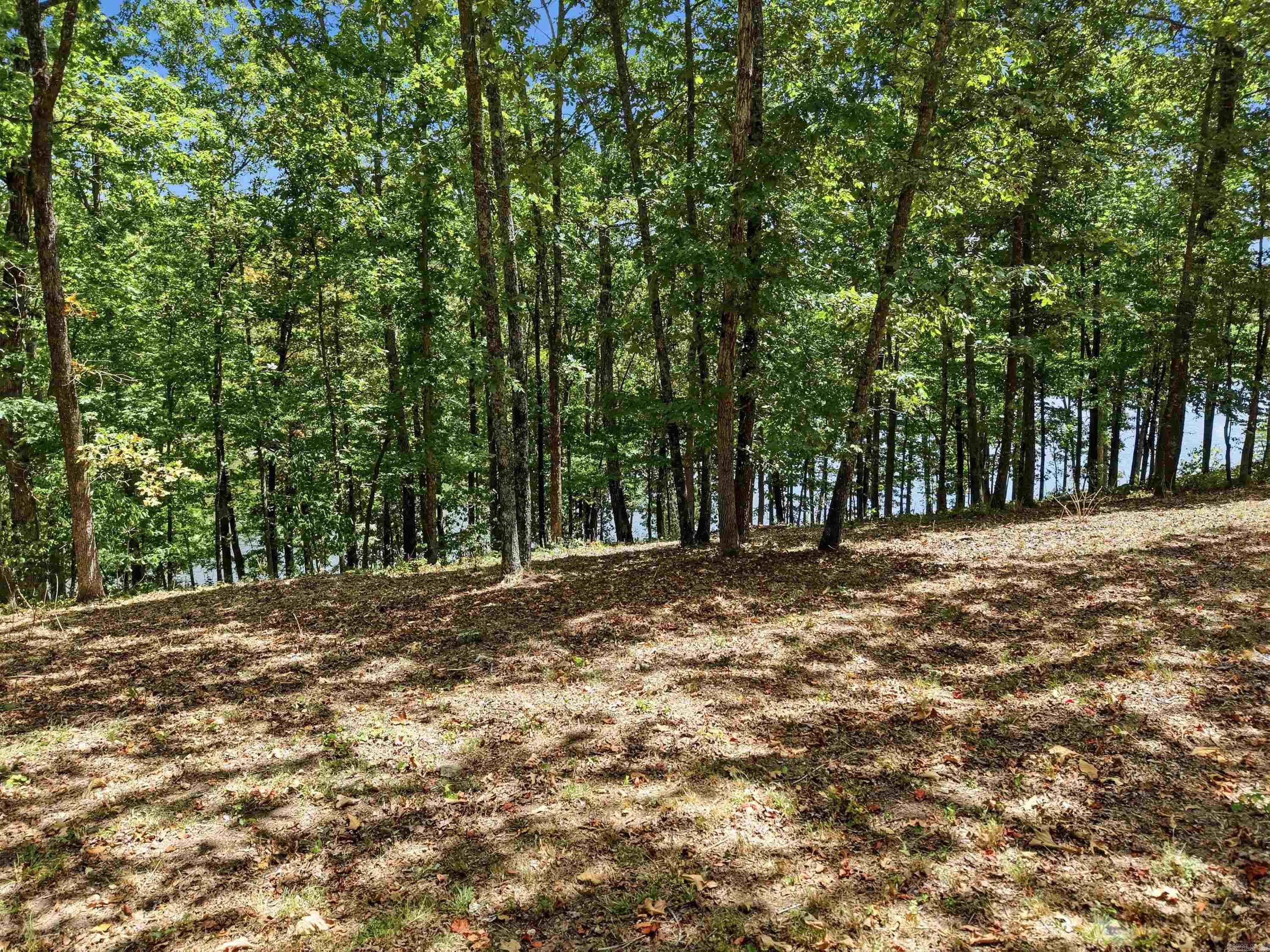 Lot 16 Quail Hollow  Heber Springs, AR