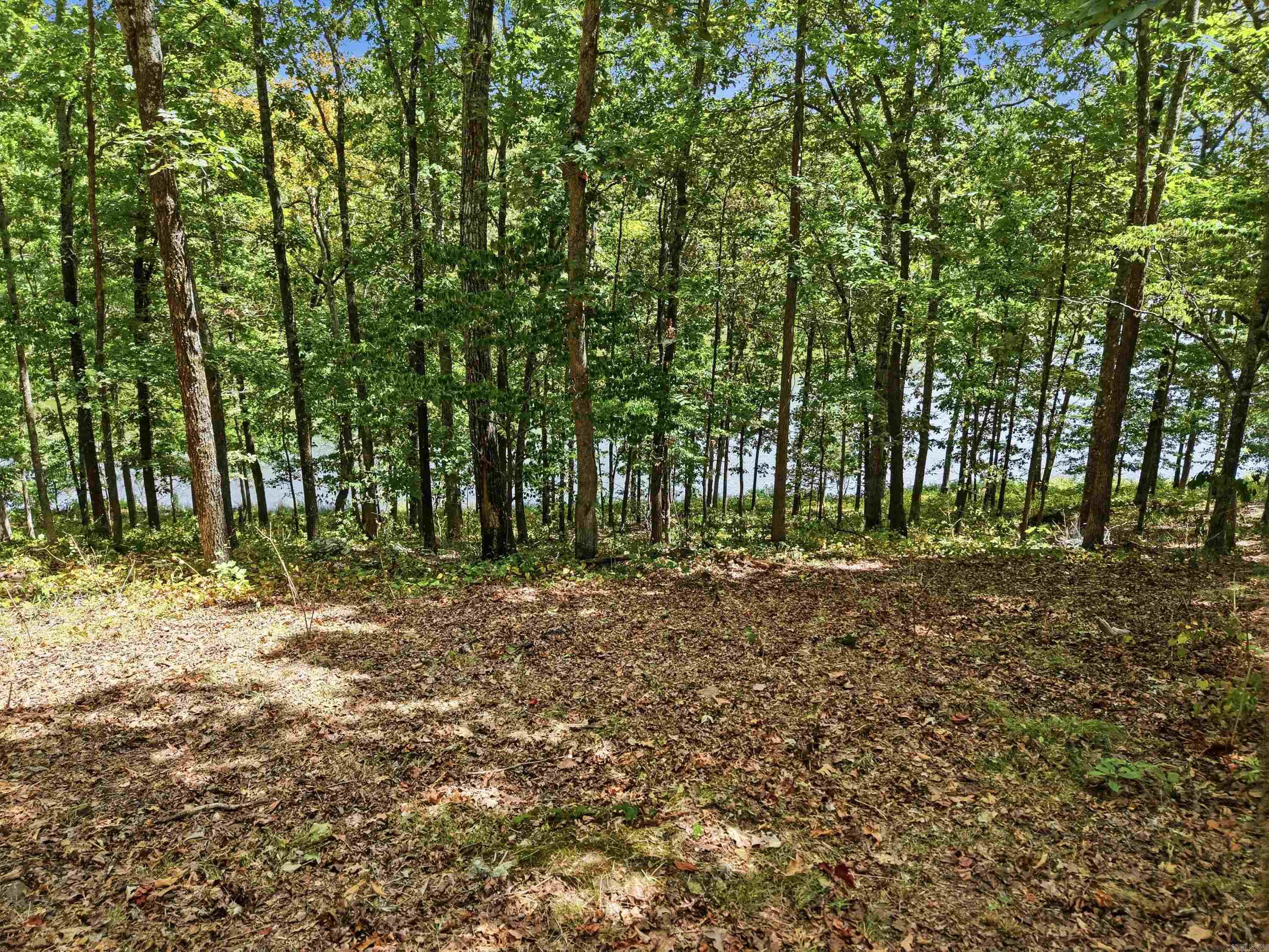Lot 16 Quail Hollow  Heber Springs, AR