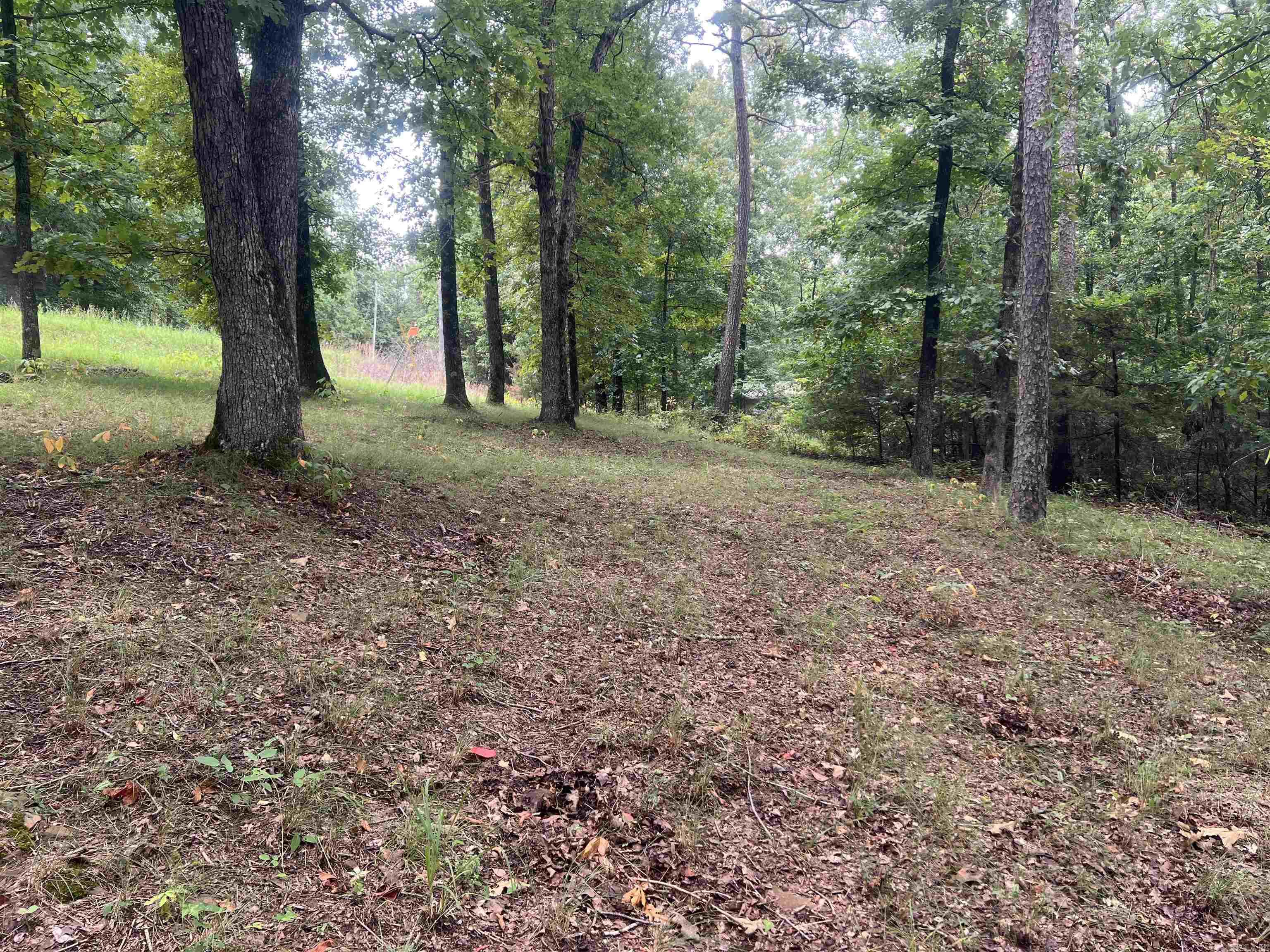 Lot 16 Quail Hollow  Heber Springs, AR