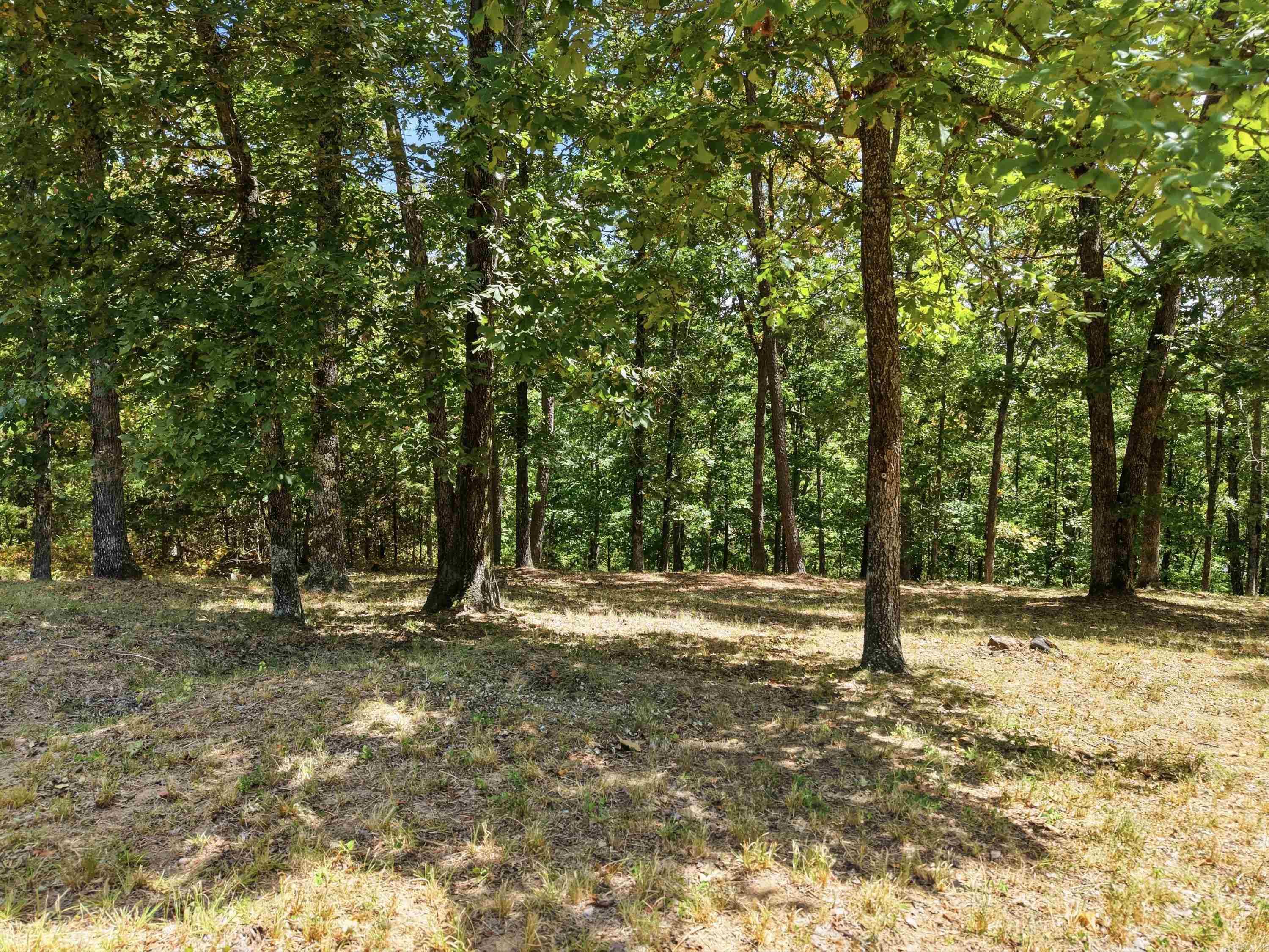 Lot 16 Quail Hollow  Heber Springs, AR
