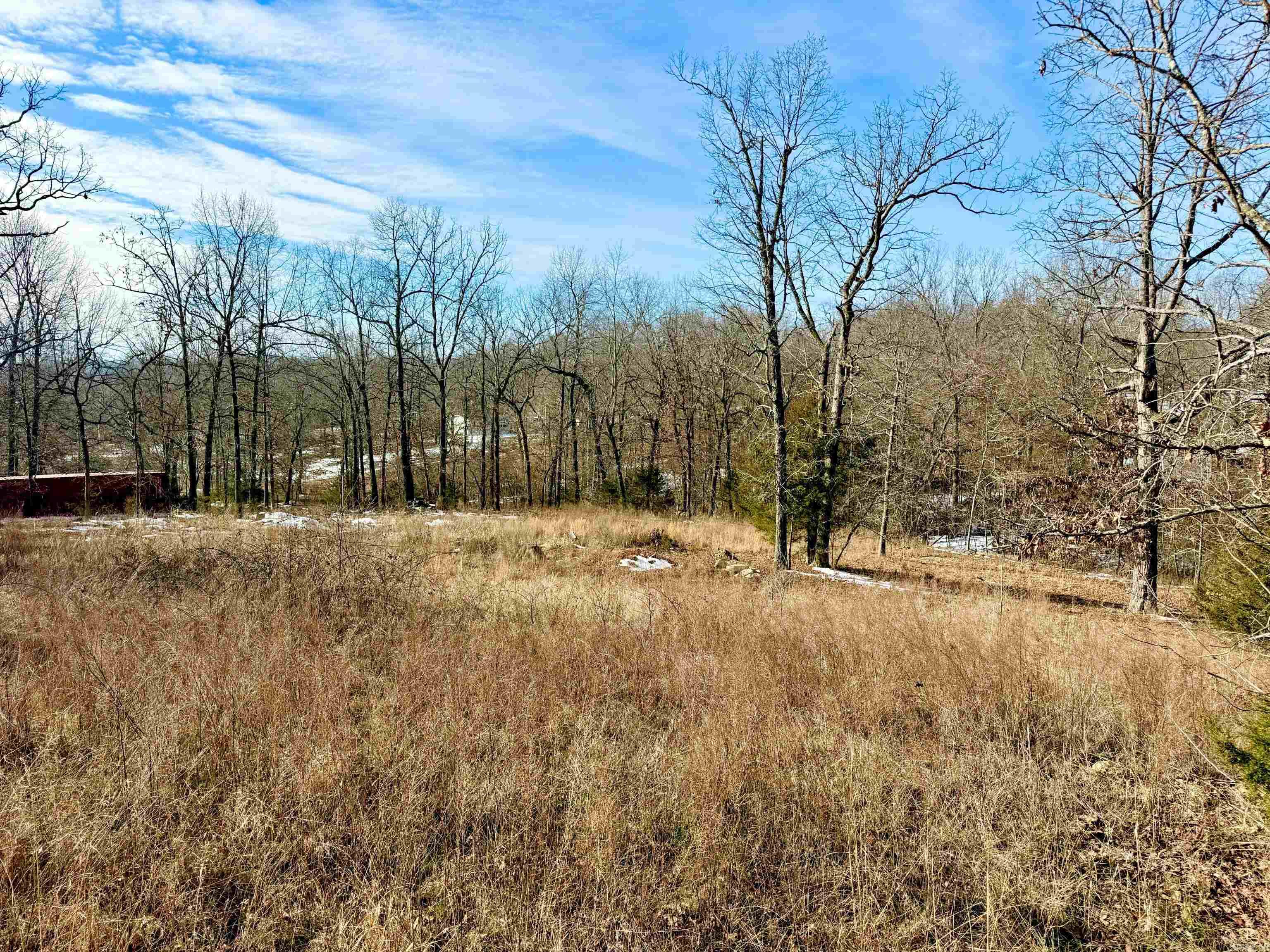 483 Oakwood Acres Circle  Flippin, AR