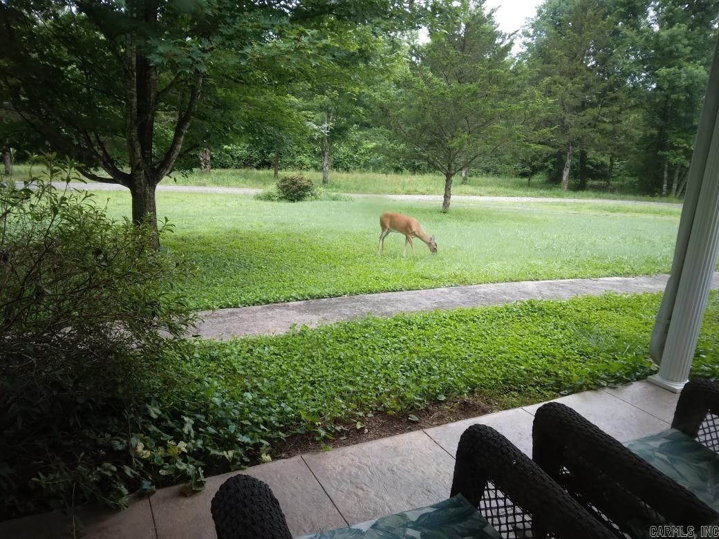 265 Polk Road 53  Mena, AR