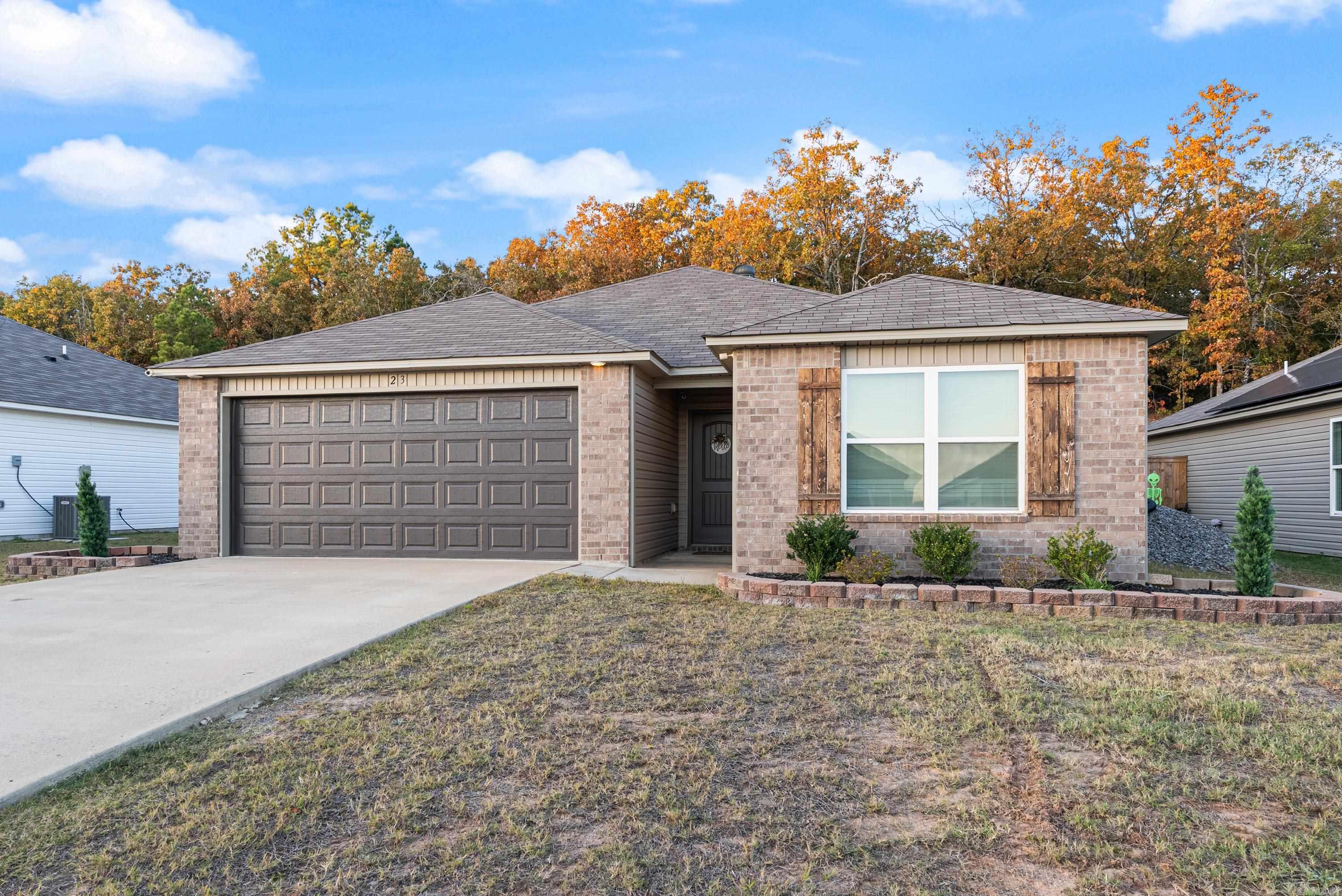 23 Barn Cat  Conway, AR