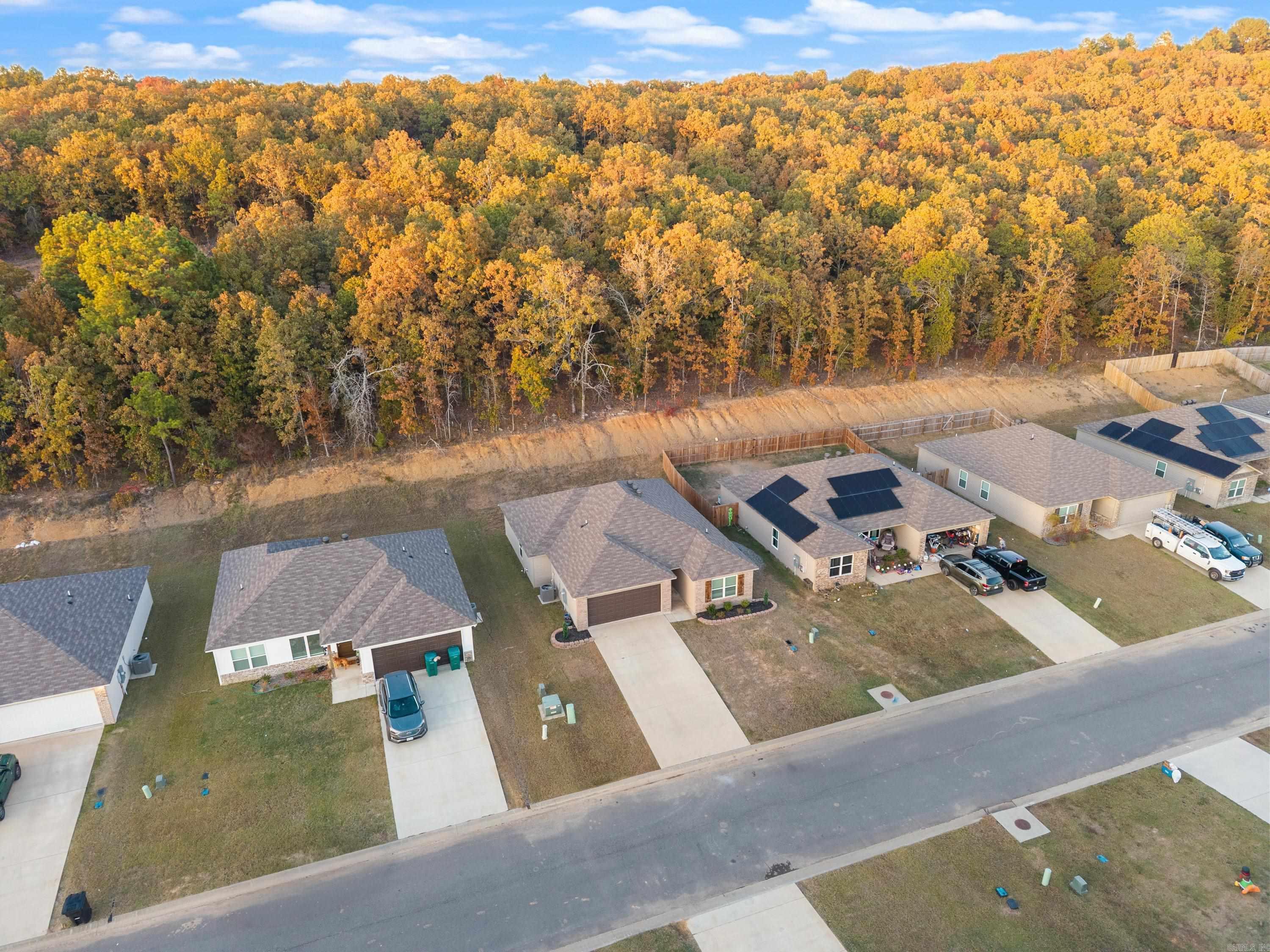 23 Barn Cat  Conway, AR