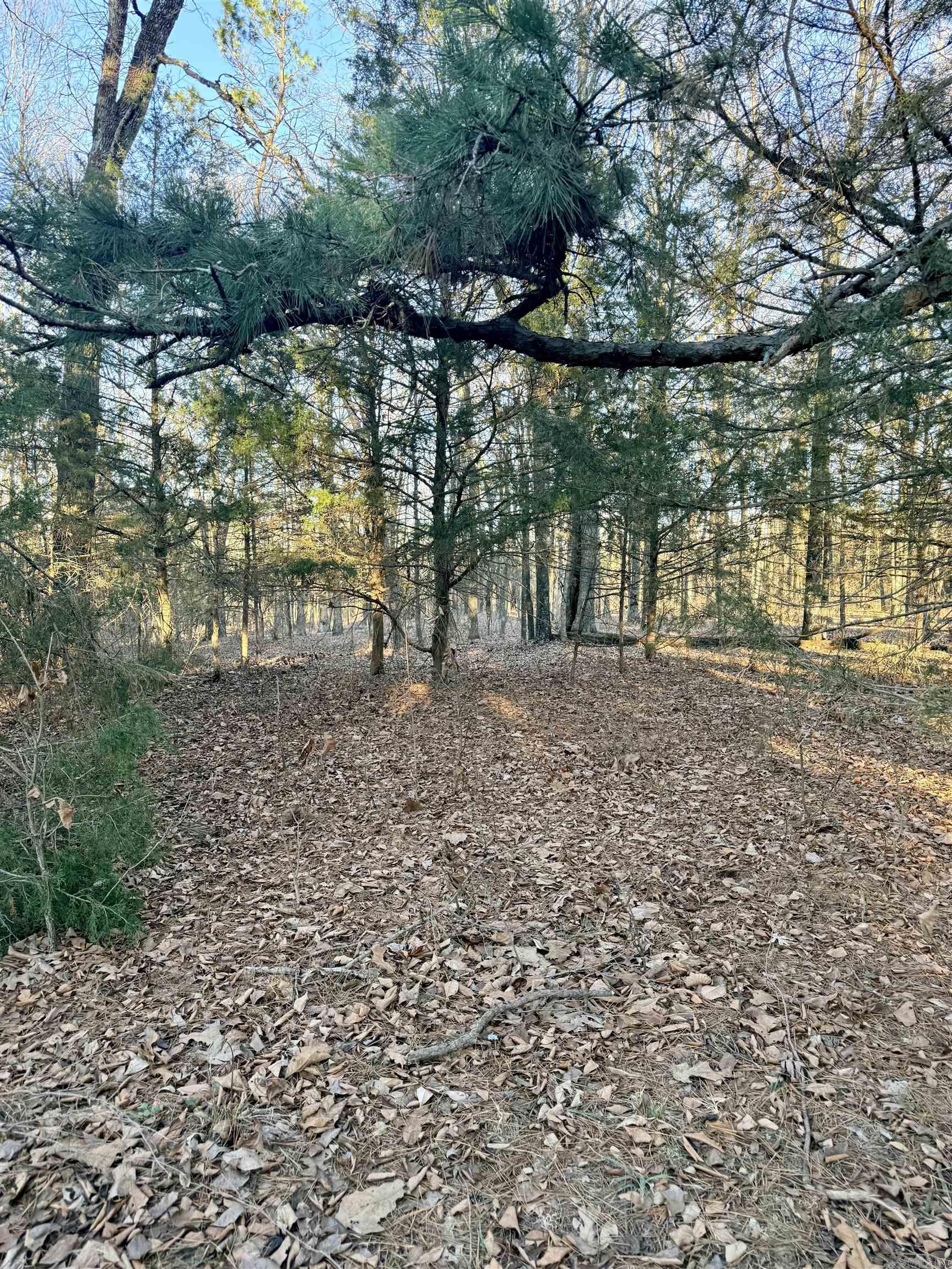 0 Poole  Rose Bud, AR