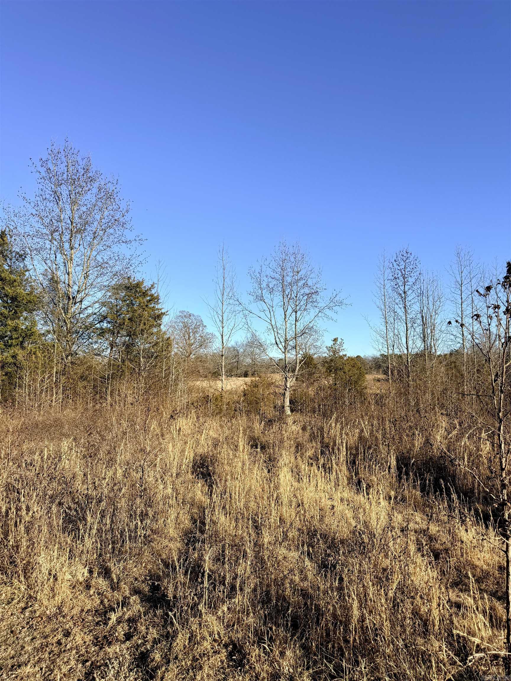 0 Poole  Rose Bud, AR