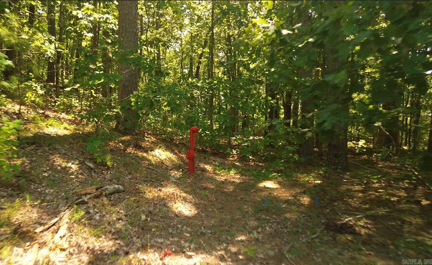 169 Brooke Ln  Bee Branch, AR