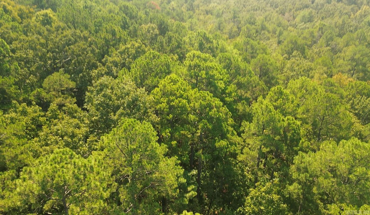 169 Brooke Ln  Bee Branch, AR