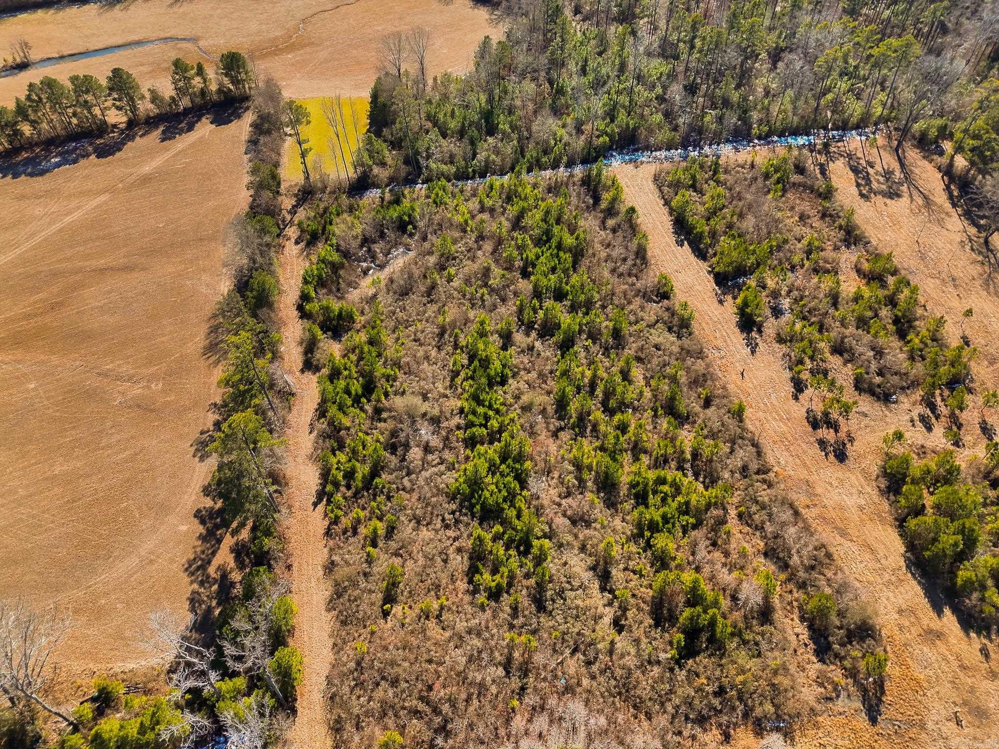 00 Bowser  Monticello, AR