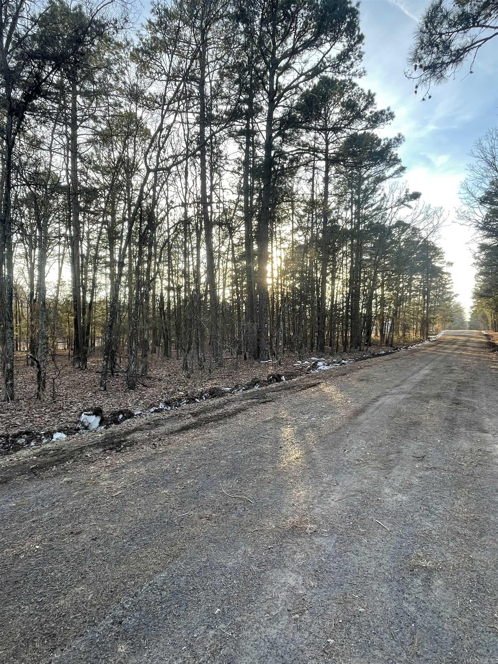 Lot 4 Tract 45 Ellen Lane  Higden, AR