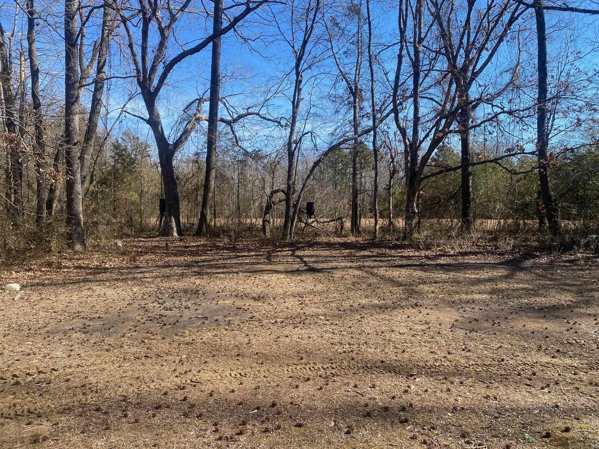 215 Cooterneck  Heber Springs, AR