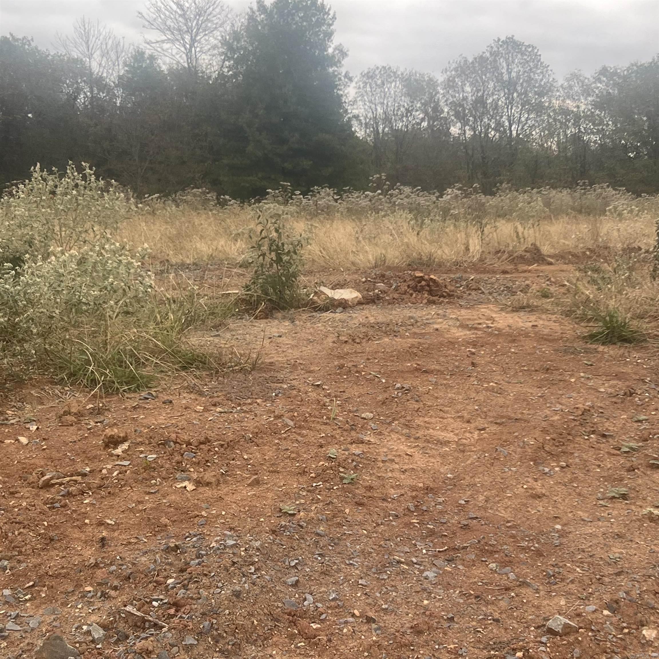 604 Corondelet Lane  Maumelle, AR