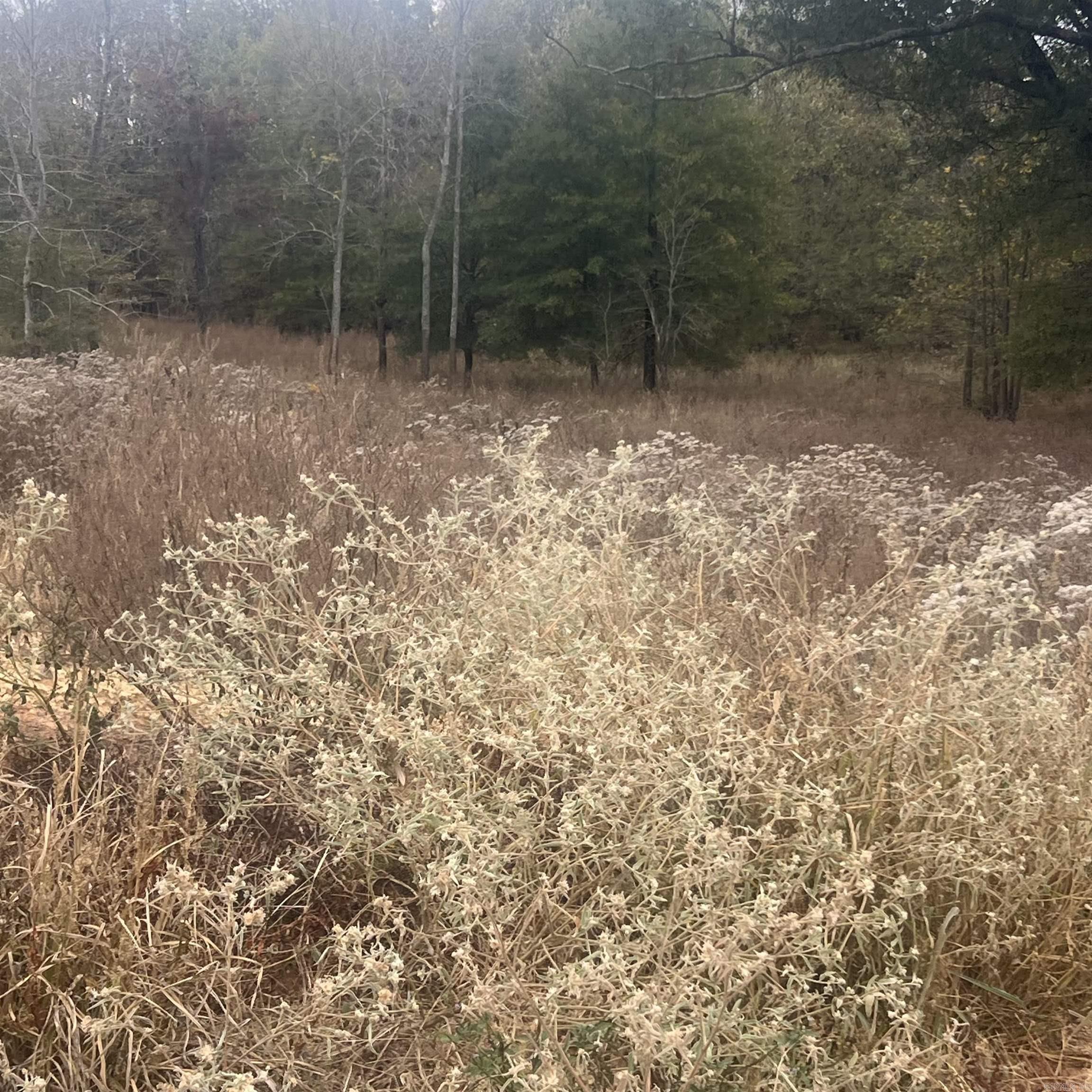 511 Corondelet Lane  Maumelle, AR