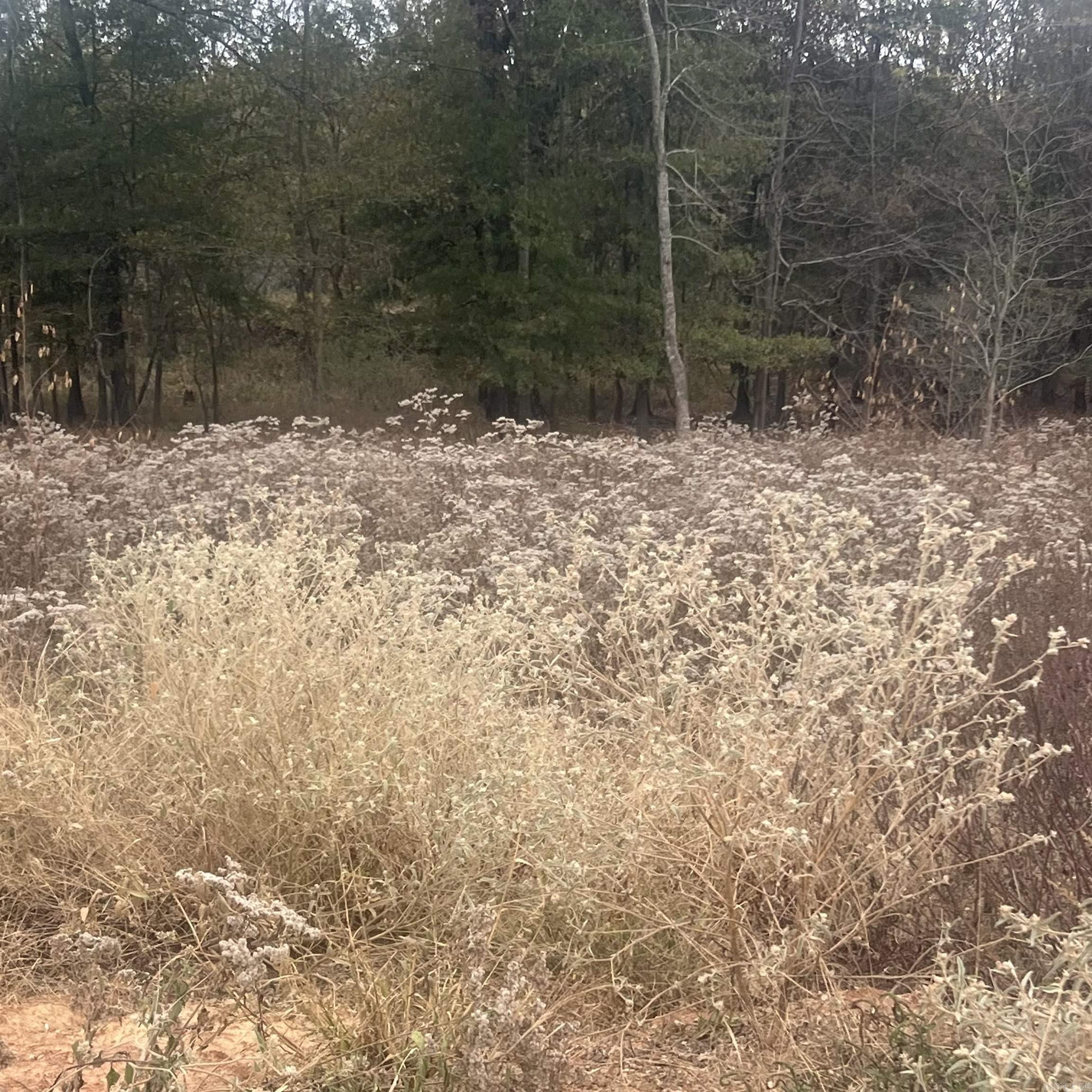 601 Corondelet Lane  Maumelle, AR