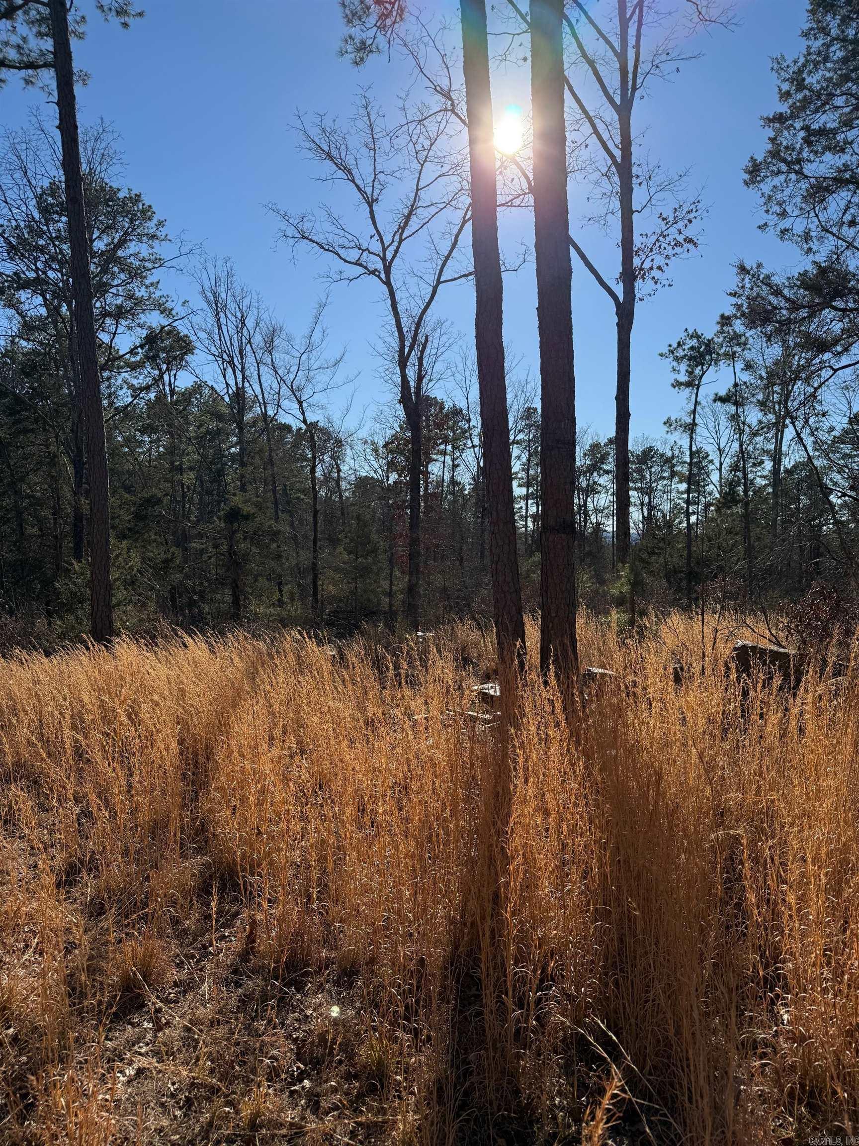 558 Pebble Drive  Clinton, AR